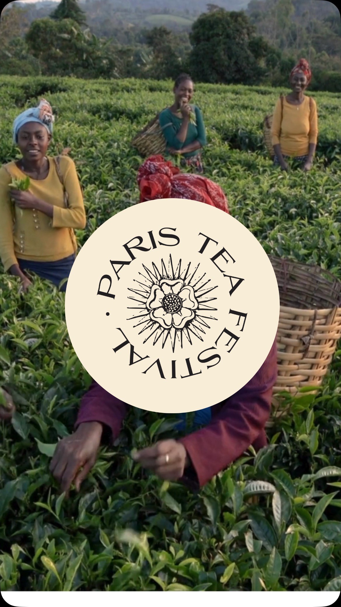 🍃 Journée Internationale du Thé – 21 mai 🍃
Aujourd’hui, nous honorons celles et ceux qui donnent vie au thé, de la terre à la tasse.
🌱 Les cultivateurs, les cueilleuses, les artisans…
Ceux qui travaillent au rythme des saisons, qui récoltent avec soin, qui transforment la feuille en chef-d’œuvre.
💼 Et tout au bout de la chaîne : les dénicheurs, les passeurs de goût, les conteurs d’histoires.
Celles et ceux qui portent haut les couleurs du thé, qui partagent ses origines, ses gestes, ses valeurs.
🎉 Ensemble, célébrons le thé les 14 et 15 juin à Paris, lors du premier PARIS TEA FESTIVAL !
Plus de 70 participants venus du monde entier seront réunis pour incarner un thé porteur de sens, de responsabilité, et d’émotion.
📍 Exposition principale – Dimanche 15 juin, de 10h à 18h
🏛️ Maison Internationale, Paris 14e
🎟️ Réservez votre place dès maintenant !
—
🍃 International Tea Day – May 21 🍃
Today, we pay tribute to all those who bring tea to life, from soil to cup.
🌱 The growers, the pickers, the artisans…
Those who work in rhythm with the seasons, who harvest with care, who turn a leaf into a masterpiece.
💼 And at the very end of the chain: the seekers, the storytellers, the curators.
Those who shed light on rare teas, who carry their voices, who share their origins and meaning with the world.
🎉 Let’s celebrate tea together on June 14–15 in Paris, at the very first PARIS TEA FESTIVAL!
More than 70 exhibitors from around the world will gather to honor tea as a source of meaning, responsibility, and sensory exploration.
📍 Main exhibition – Sunday, June 15, from 10AM to 6PM
🏛️ Maison Internationale, Paris 14e
🎟️ Book your ticket now!
#JourneeInternationaleDuThe #ParisTeaFestival #TeaFromSoilToSoul #AmbassadorsOfTea #TeaLovers #ptfouiouioui🔥