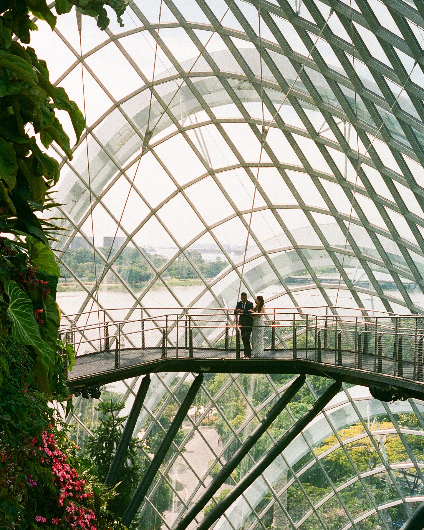 Gardens by the bay with V + G. Singapore’s botanical gem 🪴