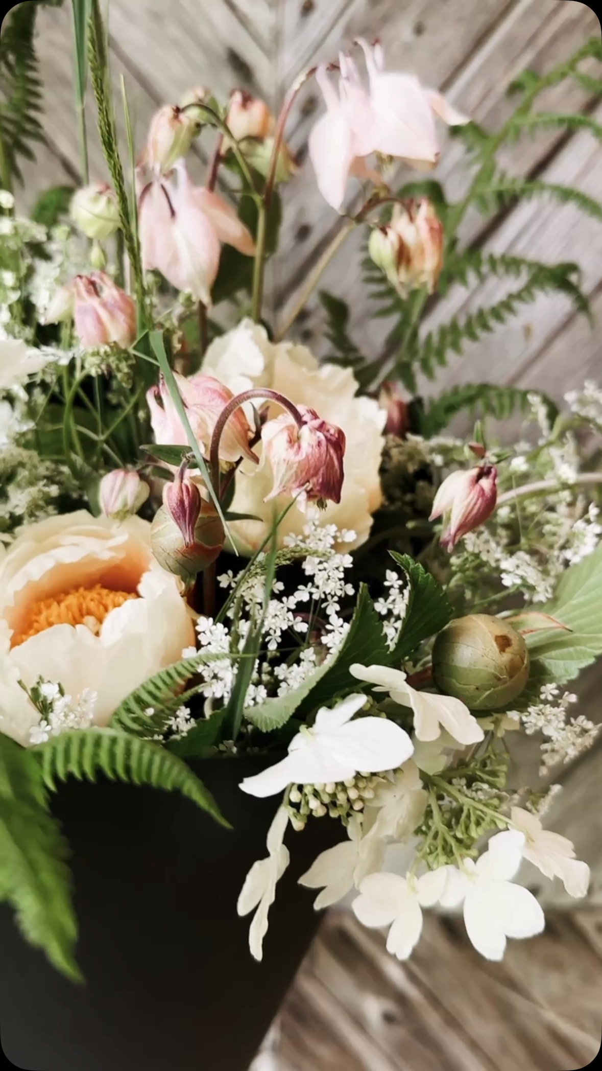 Der Mairegen macht alles schön. Vielleicht bräuchte er dafür aber ein paar Grad mehr. Derzeit muss ich für die Aboblumen ganz schön auf die Suche gehen. 😅
#maiblumen #mayflowers #slowflowers #esgibtwasesgibt #blumendieanmorgendenken