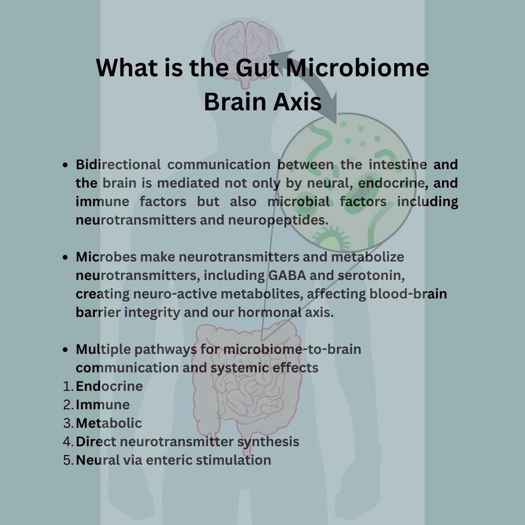 You may wonder how the Gut Microbiome-Brain Axis is of importance when it comes to our mental health? Everything in the body is connected. This bidirectional communication between the intestine and the brain is mediated not only by neural, endocrine, and immune factors but also microbial factors including neurotransmitters and neuropeptides. Our microbes are our friends and help us create health! Yes, I know, unpopular as it may seem given the modern world is obsessed with germs and killing them, over using hand sanitizer and over prescribing antibiotics. But let’s get to the science. Microbes make neurotransmitters and metabolize neurotransmitters, including GABA and serotonin, creating neuro-active metabolites, affecting blood-brain barrier integrity and our hormonal axis. Did you know that up to 80% of that communication goes from the gut to the brain via the Vagus nerve. Yet we always think our brains are in charge. The enteric nervous system that regulates our gut is often called the body's “second brain.” Although it can't compose poetry or solve equations, this extensive network uses the same chemicals and cells as the brain to help us digest and to alert the brain when something is amiss. You know, the “gut feeling” you have. Listen to it!
The multiple full body pathways for microbiome-to-brain communication and systemic effects are our hormonal system, immune function, metabolism, and our ability to synthesize neurotransmitters that have a direct impact on our feeling states. The enteric nervous system operates independently but can also be influenced by signals from the brain and spinal cord, highlighting the interconnectedness of the gut-brain axis. When people have enhance intestinal permeability, which many chronically ill people have along with an over abundance of lipopolysaccharides (LPS, a microbial metabolite due to microbial imbalances) they travel through the systemic body and wreck havoc on our mental health. Circulating (LPS), a component of gram-negative bacteria, can negatively affect mental health by triggering a systemic inflammatory response that disrupts brain function and can lead to depression and anxiety.