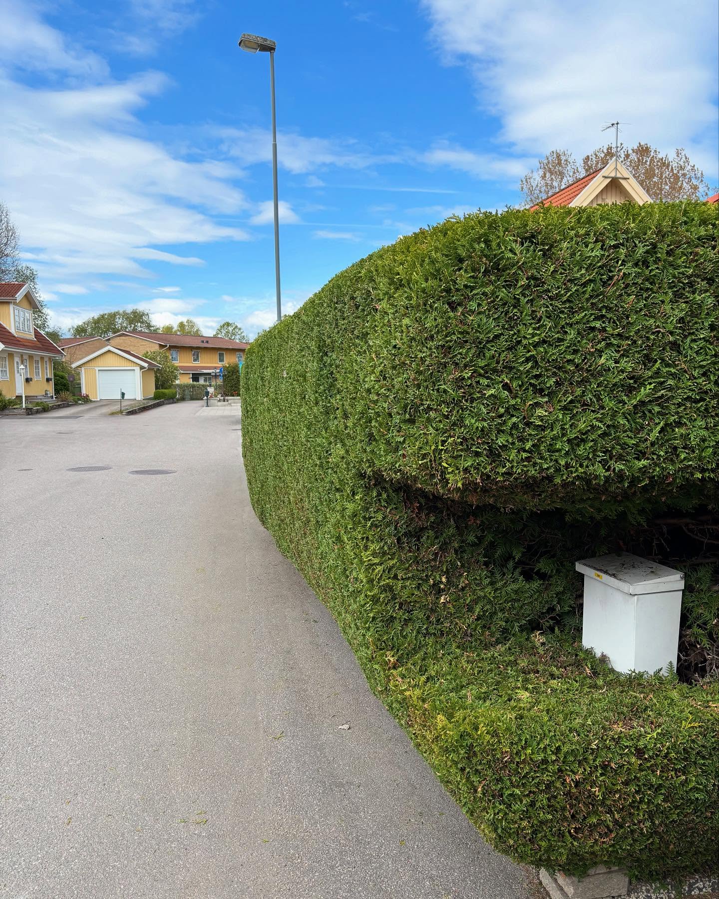 Sommaren närmar sig – dags att göra trädgården redo för lata dagar i solen! ☀️
Vi hjälper dig att fixa det fint:
🔸 Häckklippning
🔸 Trädbeskärning
🔸 Ogräsrensning
🔸 Gräsklippning
🔸 Lövrensning
🔸 …och mycket mer!
✅ Glöm inte att du kan använda ditt RUT-avdrag vid betalning!
Boka idag – vi fixar resten.