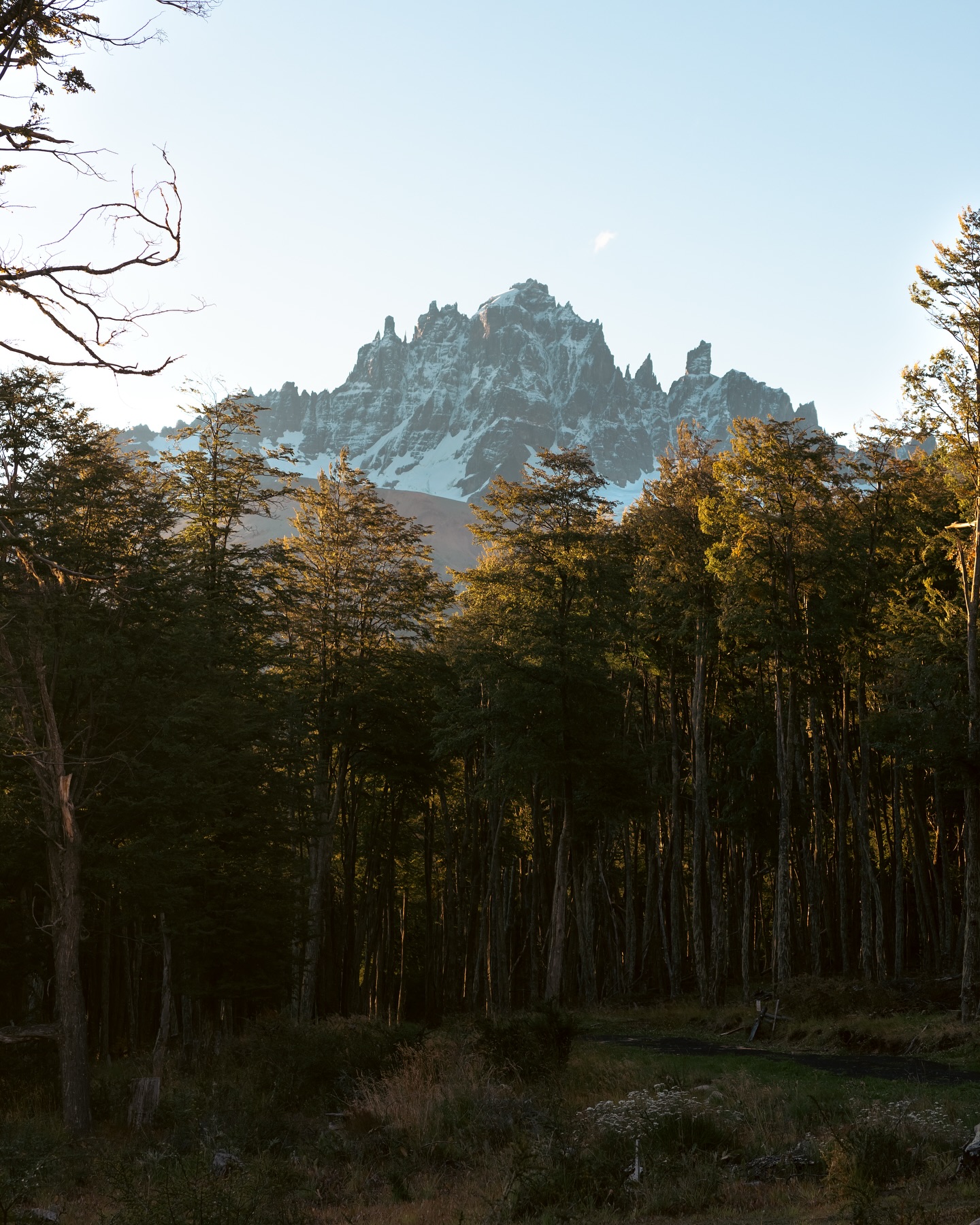 Some shots from 10 days on the Carretera Austral, a spectacular 1.240km long highway in Chilean Patagonia. The highway goes through beautiful sceneries and landscapes, known for their remoteness.
Although we didn’t have time to drive the entire Carretera, we explored a good portion of its northern section:
🌋 Chaitén, a peaceful little town still recovering from a disruptive eruption from a nearby volcano in 2008;
🌳 Pumalín Park, a lush, green reserve which was purchased by The North Face founder Douglas Tompkins, who worked to protect it from deforestation and restore its natural beauty;
⛰️ Parque Cerro Castillo, home to a stunning mountain peak where we had the most nerve-wracking hike of our trip!
And there would have been so much more to explore, which we didn’t get a chance to! I feel that we only touched the surface of what the region has to offer. So here’s to wishing we will back one day in Patagonia and spend more time in this magical corner of the world!
#patagonia #chile #naturelover #carreteraaustral #roadtripping #pumalinpark #cerrocastillo #chaiten #explorepatagonia #chiledesconocido #remoteplaces
