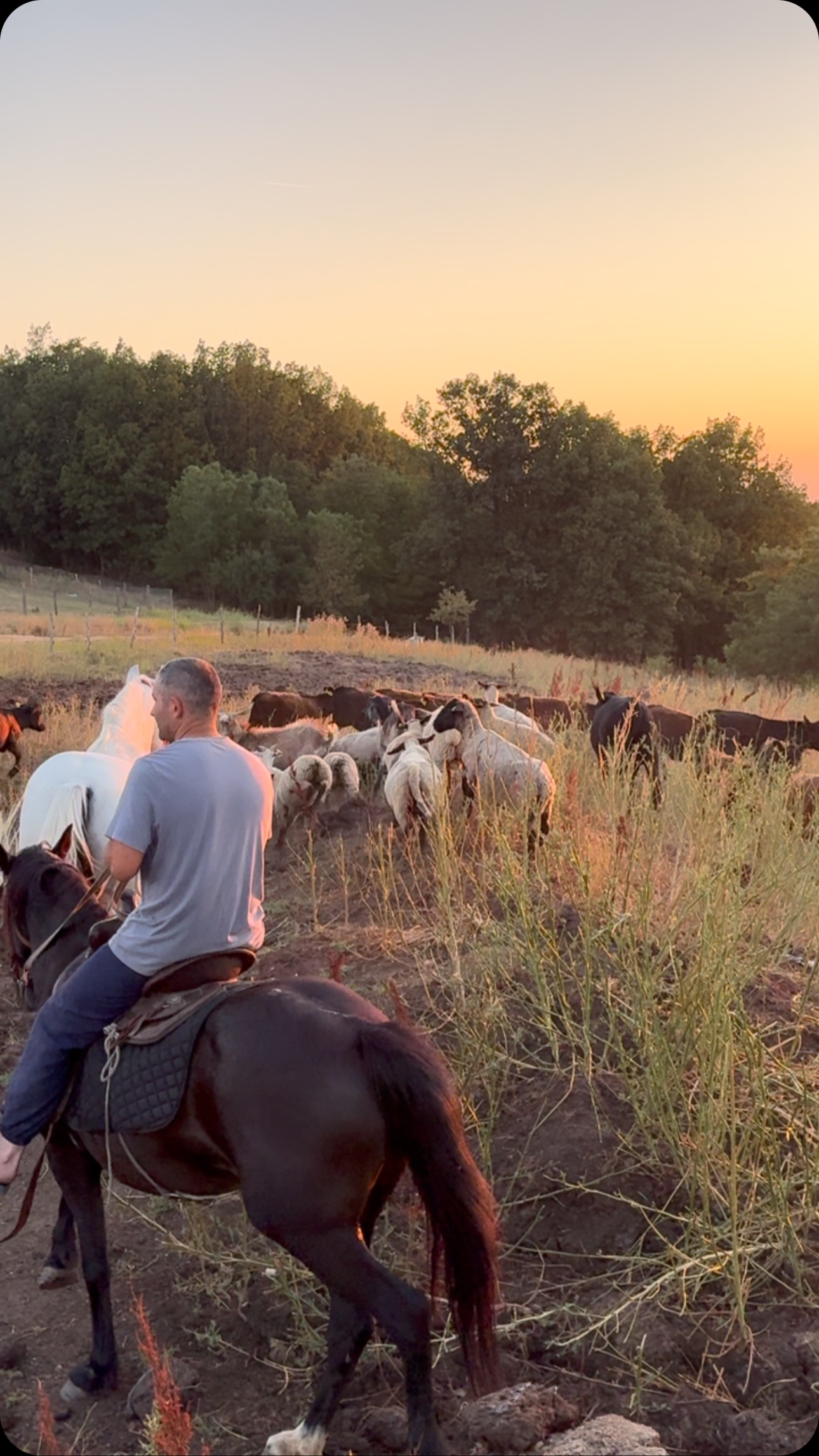 The regenerative ecosystem is complete🐝