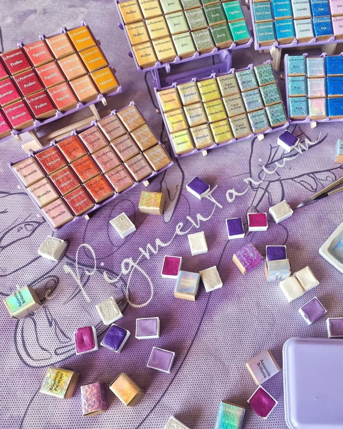 J'ai fait pleeeein de fautes, parce que je sais que vous adorez me corriger 🤣
(j'ai pas fait exprès, pardon 😭)
Plus sérieusement, on approche de l'anniversaire du Pigmentarium 🥳 et je disais à Myrtille (@lesmains.fr) que j'avais un objectif un peu flou de "ce serait vraiment chouette d'être à 15k pour mon anniversaire"
On est d'accord, c'est complètement arbitraire, mais je sens que ça me ferait du bien de me dire/voir que mes efforts paient un peu☺️
Je crois que j'ai besoin de ce petit élan de challenge pour me permettre de me lancer dans des choses et des défis plus grands (poke @crepite.club, affaires à suivre, vraiment, ne manquez pas ça) 🤭
Voir que je suis encore "capable"
J'ai l'impression que je reviens de loin et qu'il est temps de vivre de nouvelles aventures et de regagner confiance en soi 😶🌫️
Enfin voilà, je compte sur vous pour donner de tout petits coups de pouces par ci par là
J'ai de nouveau l'envie de créer de belles choses
Et surtout envie d'en créer avec vous
Alors je crois qu'il est temps se lancer
#aquarelle #arcenciel #faitmain #faitenfrance #lepigmentarium #polychrome #peinture #aquarellefrance #aquarelleartisanale #aquarellepailletée #artisan #artisanatfrancais #peintureaquarelle