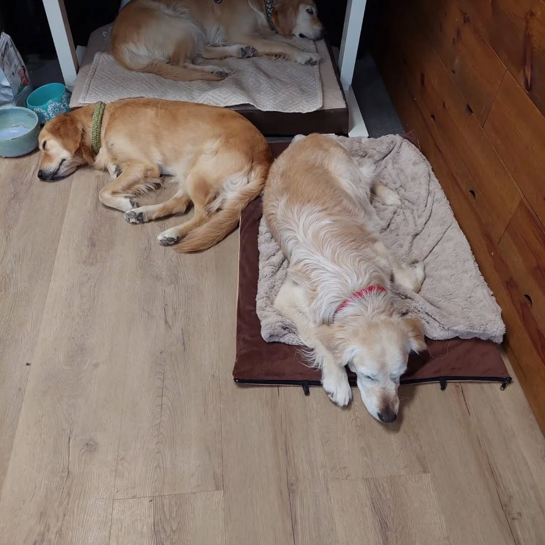 Heute war wieder eine ganz tolle Truppe bei mir und wir haben tolle Sachen getöpfert 🥰