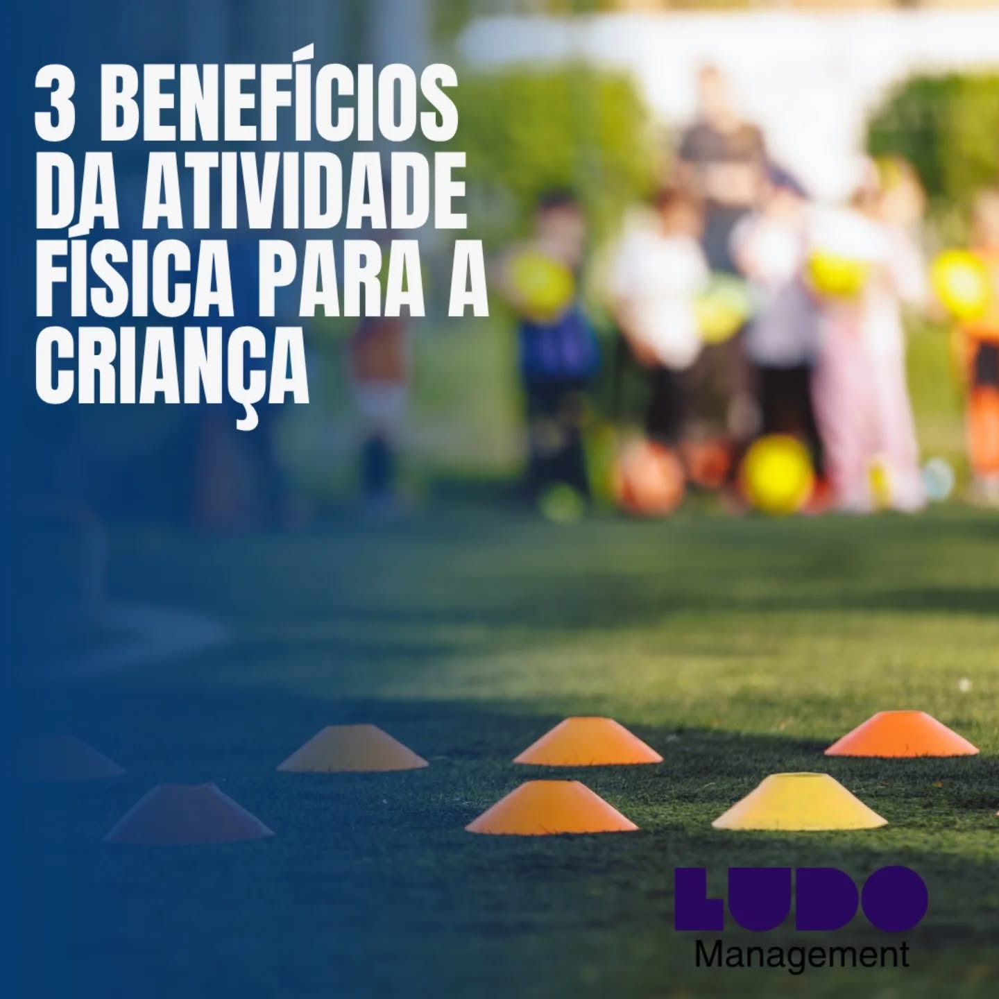 Atividade Física para Crianças! 💪🧠😊
Movimentar o corpo traz muitos benefícios! Veja 3 deles:
1️⃣ Corpo Forte: Ajuda no crescimento saudável de ossos e músculos.
2️⃣ Mente Ativa: Melhora a concentração e o humor.
3️⃣ Alegria e Amizade: Ensina a trabalhar em equipe e a se divertir!
Incentive a criançada a se mexer!
Vem jogar com a LUDO!
#esporte #Ludo #atividadefisica #educaçãofísica