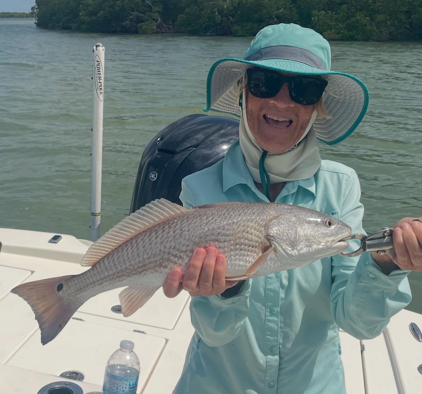 some rain has helped the water temps and salinity levels… but, I still managed a few on this recent trip! Some slot #redfish along with some #snook #sheepshead and #trout were also caught! Call me, #tarpon season is filling up! 📲 305-778-5342 #a2fishingcharters #irtreels #cajuncustomrods #donnmarpliers #reelfishyapparel #tfoflyrods #palmythgloves #fourhorsementackle #reelfishyapparel #fortressmarineanchorsusa