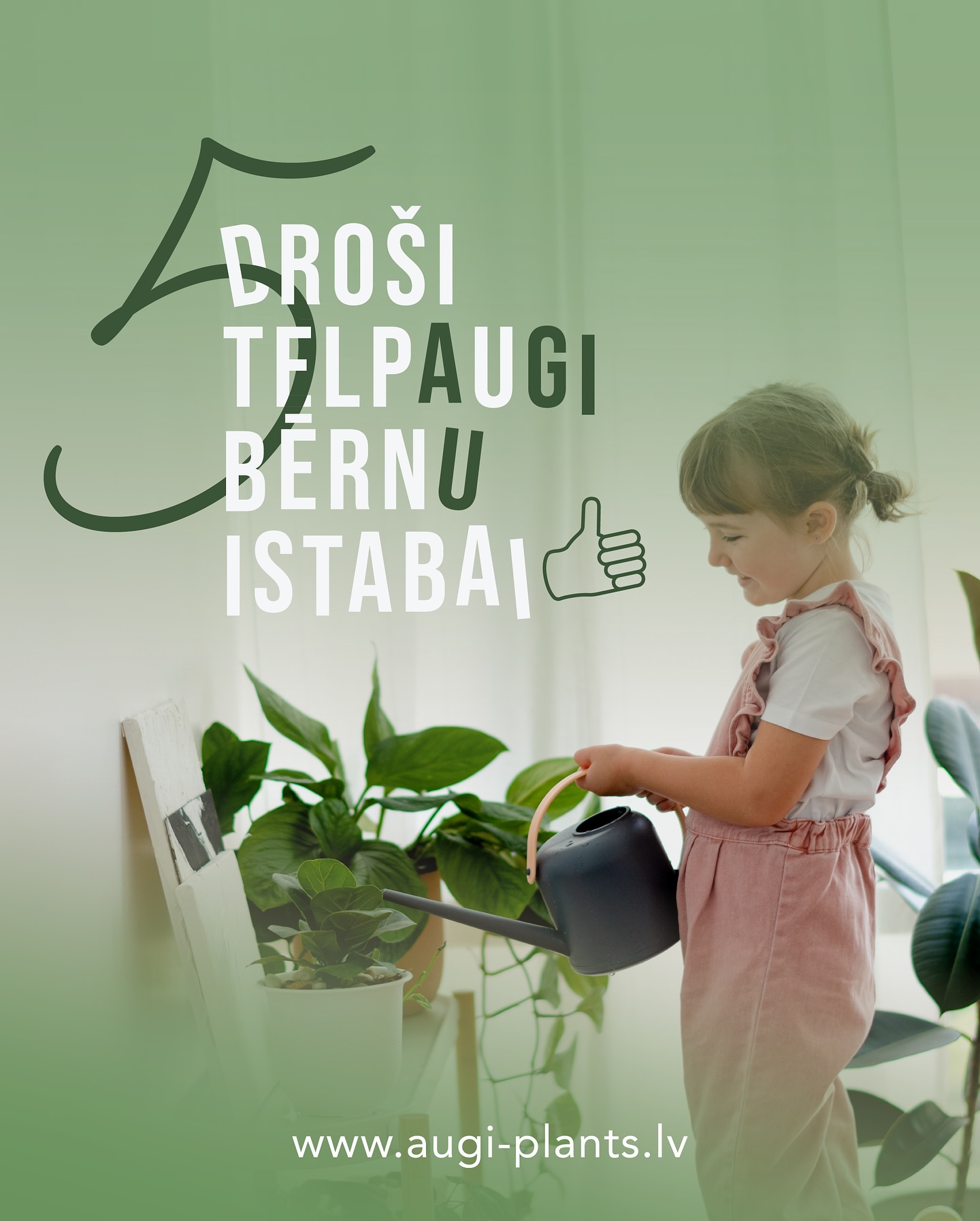 5 TELPAUGI BĒRNU ISTABAI
Vēlējos dalīties ar idejām par drošiem un vienkārši kopjamiem telpaugiem, kas perfekti piemēroti bērnu istabai. Šie augi ne tikai radīs jauku vidi, bet arī būs pilnīgi nekaitīgi, ja bērni tos nejauši aiztiks vai norīs.
1. Kalateja (Calathea)
- Nekaitīga: Nav indīga, pat ja bērns nejauši pieskaras vai ievieto mutē.
- Gaisa attīrīšana: Labi absorbē toksīnus un palielina skābekļa līmeni.
- Interesanta izskata: Dzīvas, krāsainas lapas (piemēram, Calathea orbifolia vai Calathea medallion) var bērnam šķist kā “dzīvs rotājums”.
2. Vaska puķe (Hoya)
- Nekaitīga: Nav indīga, un tās biezās, vaskainās lapas reti nokrīt.
- Izturība: Iztur neideālus apstākļus (piemēram, aizmirstu laistīšanu).
- Ziedi bērniem pārsteigums: Kad zied (ar saldām smaržām), tas var kļūt par interesantu novērošanas objektu.
3. Pileja (Pilea peperomioides, Ķīnas naudas koks)
- Drošība: Droša, bez toksiskiem savienojumiem.
- Interesanti bērniem: Apaļās, līdzīgas monētām lapas var būt jautrs elements istabā.
- Kopšana: Labi aug pie logiem ar netiešo saules gaismu .
4. Ķīnas roze (Hibiscus)
- Drošība: Nav indīgs, bet jāuzmanās, lai bērns neapēstu lielos ziedus (var izraisīt vēdergraizes).
- Interesanti bērniem: Lielie, koši ziedi var būt aizraujoši novērošanai.
- Kopšana: Nepieciešama gaiša vieta un regulāra laistīšana .
5. Olīvkoks ( Olea)
- Drošs– nav toksisks, ja bērns pieskaras vai nejauši iekož lapā.
- Dekoratīvs – pelēkzaļās lapas ar sudrabotu nokrāsu izskatās eleganti.
- Izturīgs – var izturēt sausākus periodus (piemēram, ja aizmirstat to laistīt).
Kopīgas priekšrocības visiem augiem:
- Nav iekļauti indīgo augu sarakstos.
- Neprasa īpašu kopšanu – piemēroti arī aizņemtiem vecākiem.
- Stimulē bērnu interesi par dabu – var kopīgi laistīt, novērot augšanu, mācīties atbildību.