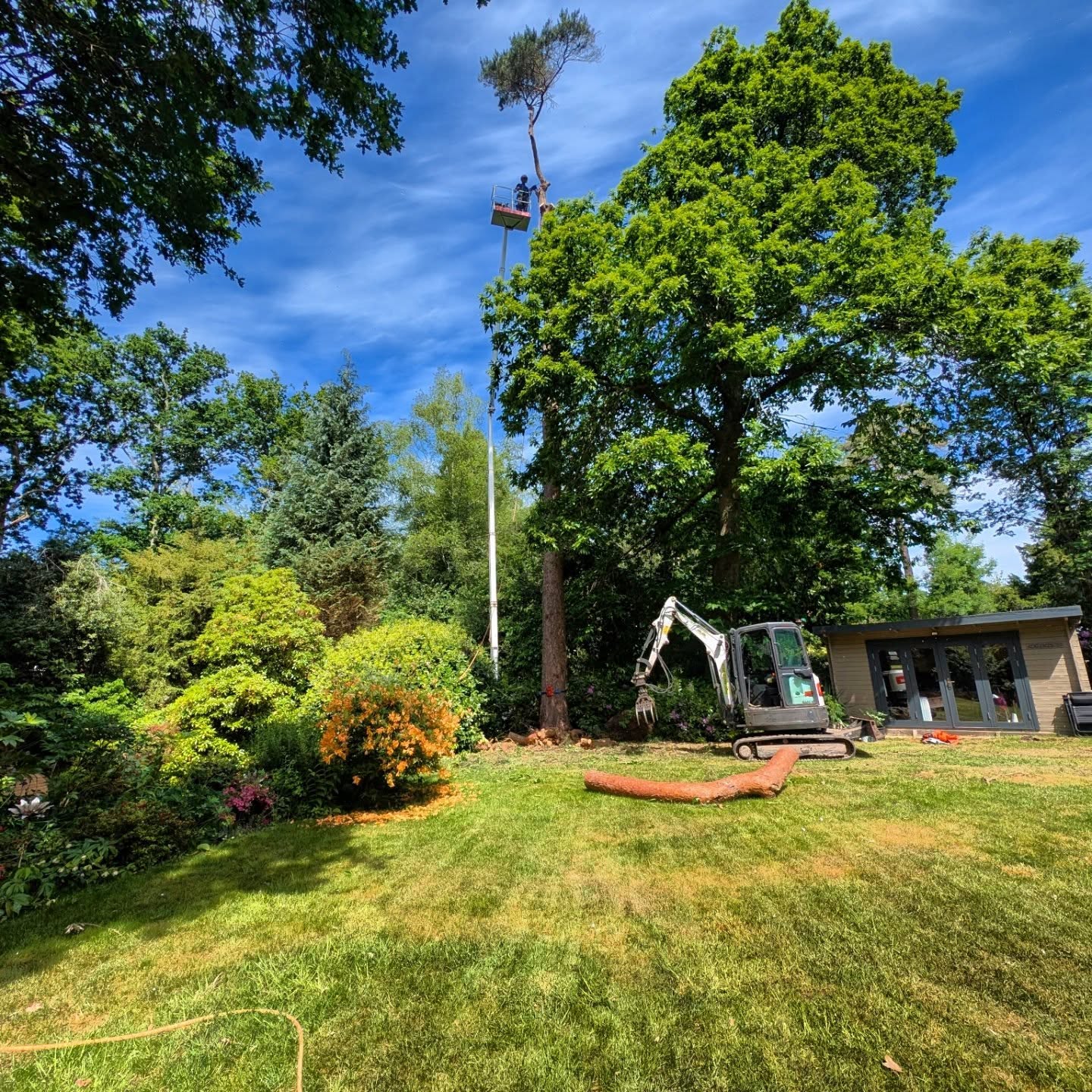 Dismantle of this declining Pine to a pole ready for a dragon carving! π²π @treemonkey13 in his picker making the twisty tops straight forward and @m1waymason keeping the manual labour to a minimum in the Arb digger πͺ
#treework #treesurgery #treeremoval #treecontracting #winchestertreesurgeon #andovertreesurgeon #eastleightreesurgeon #chandlersfordtreesurgeon #arborist #cherrypicker #stihl #husqvarna #hampshiretreesurgeon #wiltshiretreesurgeon