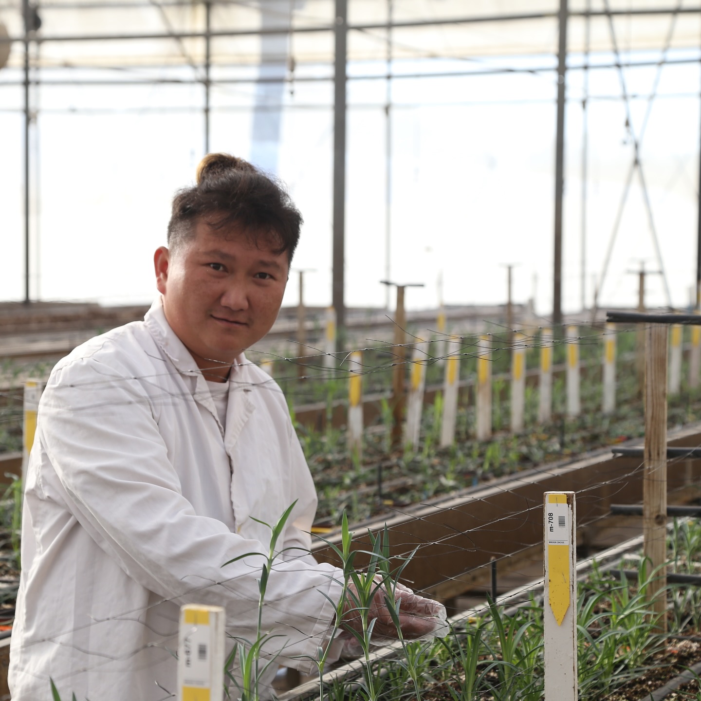 Ying takes care of the foundation grandmother plants