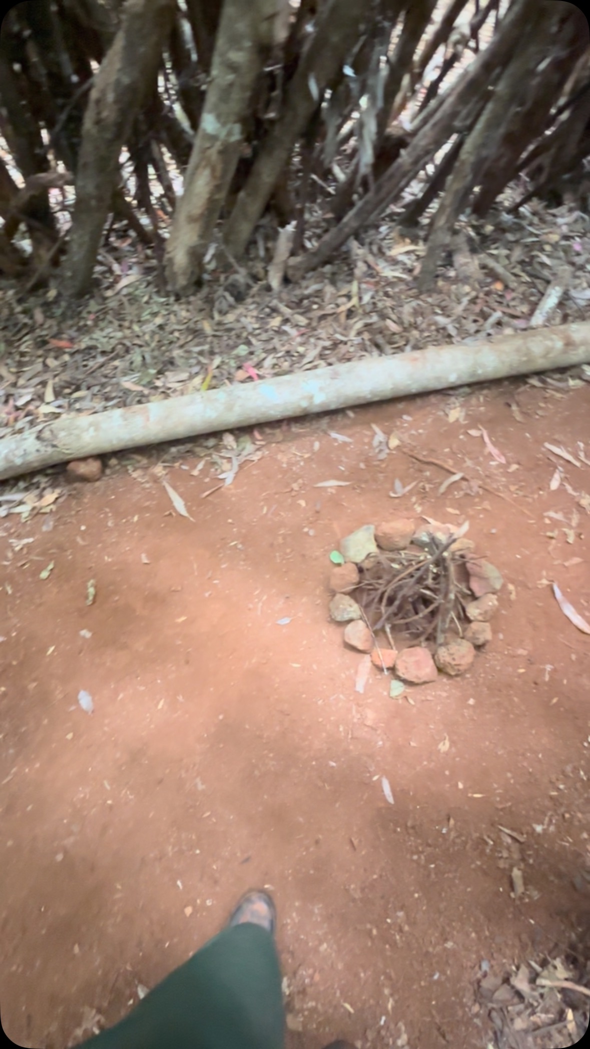 Pono Outdoor Program loves the great outdoors rain or shine because it offers invaluable benefits to children through free play and exploration in nature, no matter the weather. Here are several reasons why:
Benefits of Free Outdoor Play for Kids:
Boosts Creativity and Imagination: Nature provides open-ended materials (like sticks, mud, leaves) that inspire imaginative play.
Enhances Problem-Solving Skills: Free play encourages children to make decisions, take risks, and find solutions on their own.
Improves Physical Health: Outdoor play supports gross motor development, strength, and coordination.
Strengthens Emotional Resilience: Facing natural elements like rain and cold helps kids develop grit and adaptability.
Fosters Social Skills: Collaborative outdoor play builds communication, cooperation, and empathy.
Deepens Connection with Nature: Regular time in natural settings cultivates a sense of stewardship and wonder.
Supports Mental Health: Nature has a calming effect that reduces stress and anxiety.
Quote from Peter Gray:
“Children learn the most valuable lessons through their own exploration, play, and discovery—not through direct instruction.”
— Peter Gray, developmental psychologist and advocate for self-directed education
Pono Outdoor Program embraces the outdoors in all conditions because it believes children thrive best when they are free to move, explore, and grow—no matter the weather. #ponooutdoorprogram #freetolearnandgrow #grounding #handsonlearning #keikiadventures #trusttheprocess❤️