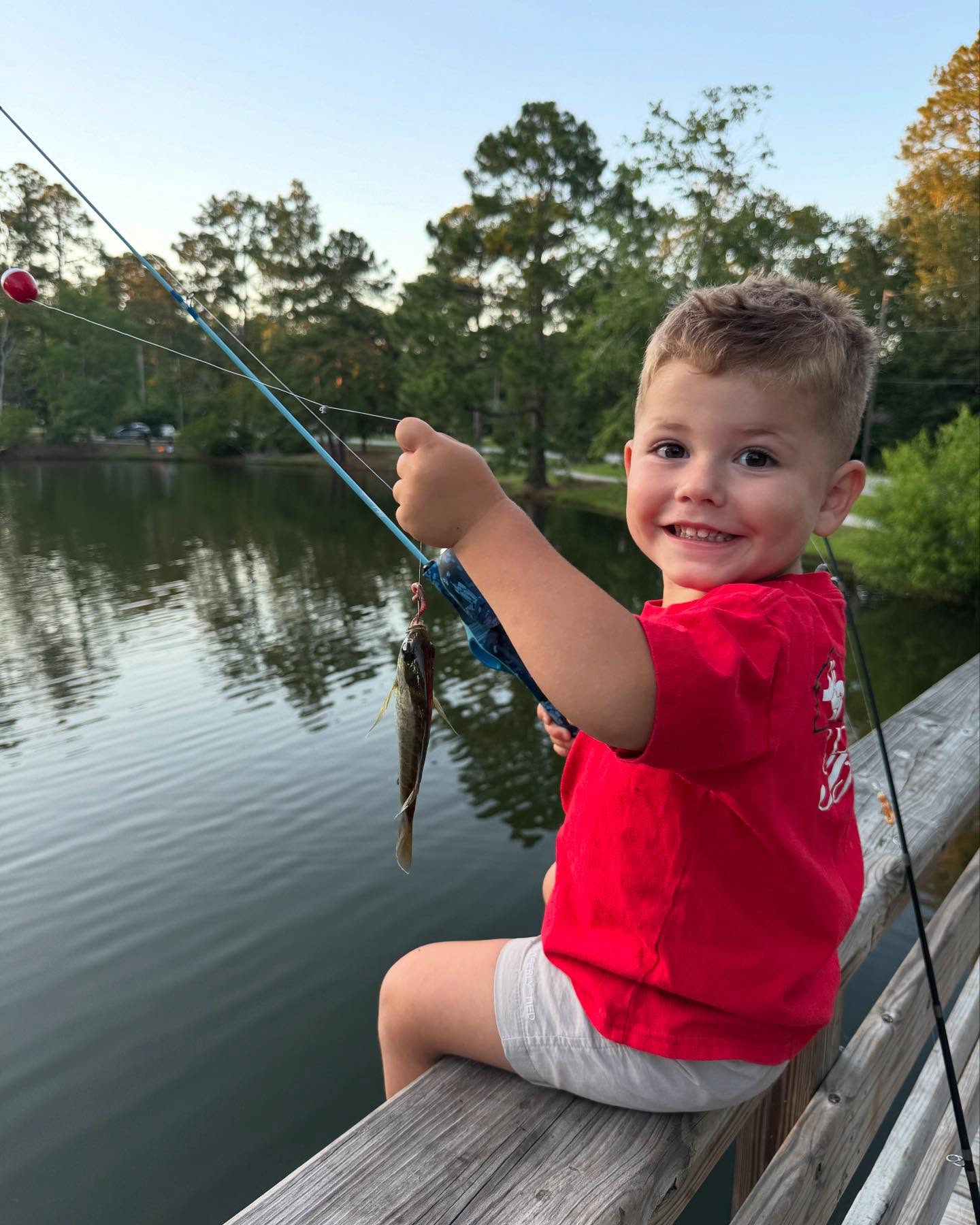 Fish Stocking 🎣
.
Pond Management is an intricate and exciting form of land management. Most of us have fond memories of catching fish growing up & that’s what we’re trying to create here.
.
This particular pond had no signs of life in it and after fishing it and inspecting it, it was clear that we needed to add fish. We wanted to start w/ the future forage sticking w/ bream, shell crackers, & flathead minnows w/ some grass carp. We are still deciding if we’ll do catfish or bass but we’ll supplemental feed these fish for a year before introducing the apex predators to the system. If you have any pond management questions or needs feel free to reach out and we’ll get you a quote