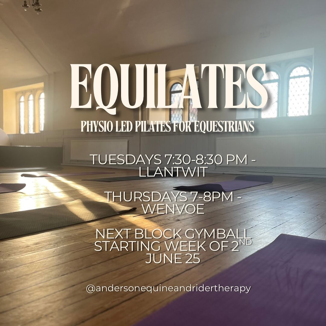 Send me a dm to book on. Really makes a difference to your seat, balance, strength and flexibility. Next block on the gym ball. (Bring your own ball).
#pilates#equilates#physiotherapy#physio#equinephysio#horseriderfitness#dressage#jumping#horses#horseriders