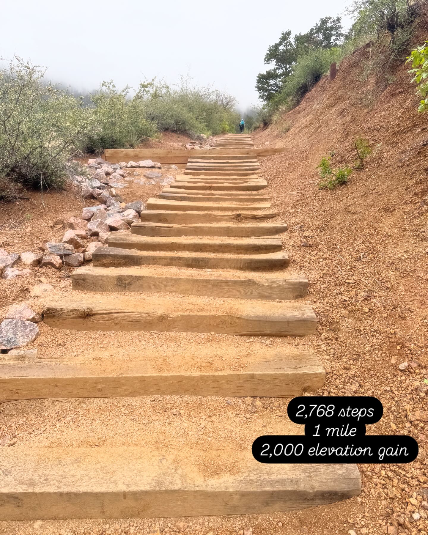 How many steps do you think it takes to heal? How many miles do you think you need to walk to feel like you are “you” again? How steep of a mountain do you have to climb before you realize how far away you are from the pain and the overwhelming feelings?
Every step I took I let him go even more.
Every stair I climbed I found my own inner strength, my own pride, my own courage in the continuation of going.
Each person I encountered I realized had their own mountain to climb for their own reasons and it sure was beautiful to watch and be a part of.
In making it to the top, I knew I was going to be ok. I was letting him go and I was not only surviving…I was thriving. I am the woman that climbs mountains. I am the woman that gives her whole heart. I am the woman that will survive the pain to experience the joy.
On the decent down, I knew I was coming home a different woman. Sometimes one climb, one push, one short period of showing yourself what you are in fact made of, is what it takes and what you need to feel like the world is going to be ok.
The world is going to be ok.
I am going to be ok.
I found my breath in the climb.
I found myself too.
-Manitou Incline
https://www.skysthelimit.online
#manitou #manitouincline #manitouspringscolorado #theclimb #innerhealing #healingjourney #health #heal #journey #journeyoflife #mountainsweclimb #staircaseofhell #loveyourself #love #loveyou #hike #hikeyourownhike #stairs #nature #myjourney #followmyjourney #myjourneytoheal #foundmyself