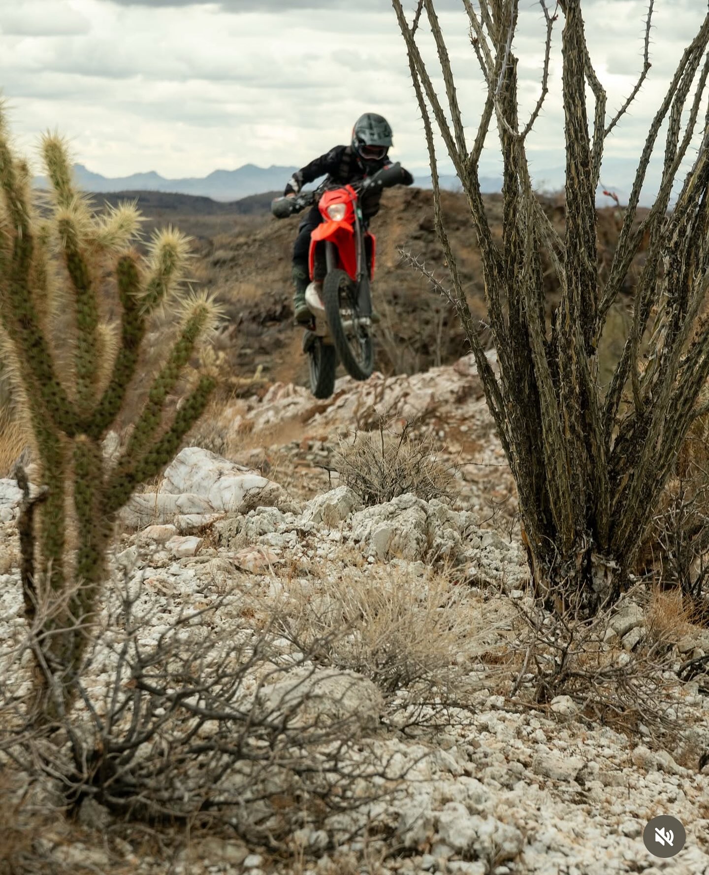 Welcome @havasu.moto to the alliance. Check out their website to learn all about their amazing rides in Arizona.