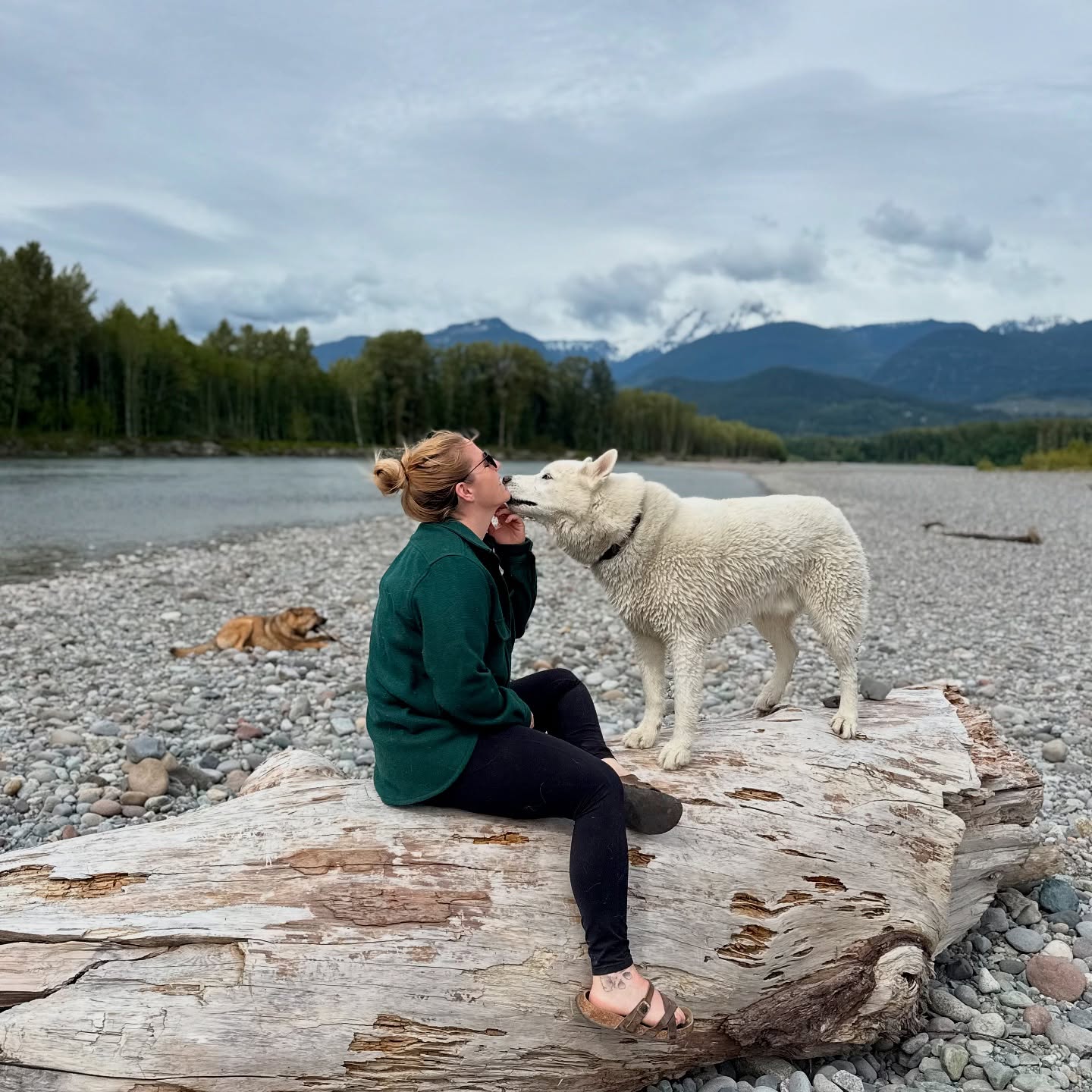“Never underestimate the big importance of small things.” 💋🤍🥺🐕🌲
#kisseswithQuinn #girlsbestfriend #quietinthewild