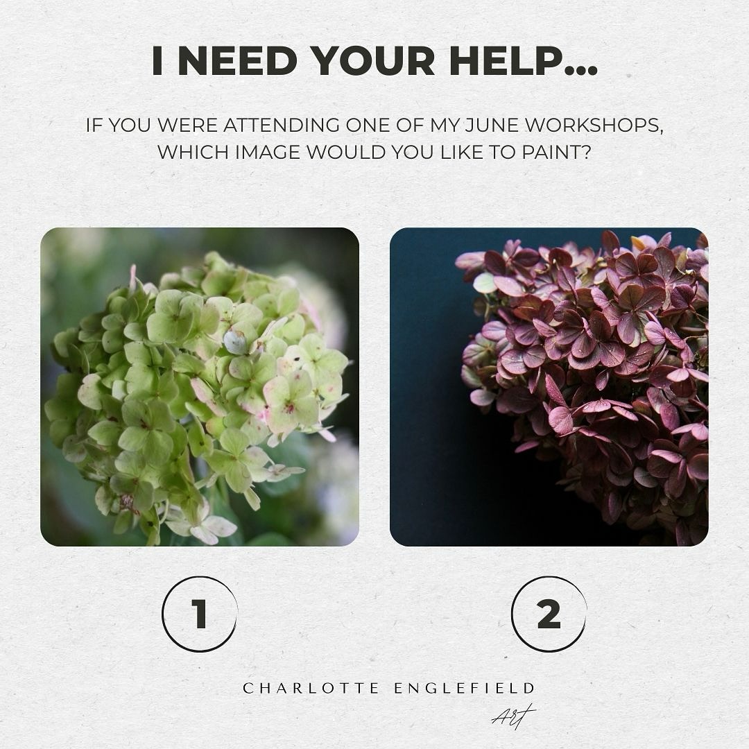 I need your help!
I’ve finally decided to paint the beautiful bloom of a hydrangea in my June workshops… but I can’t choose which one!
Should I pick just one, or let everyone choose their favourite on the day?
I love how these two feel like a reversal of each other —same flower, same colours, totally different feel.
Let me know your pick in the comments!