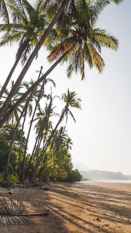 Costa Rica is just incredible. 🌴 Have you visited yet?
📸 @visit_costarica
#CostaRicaRealEstate #BeachHouseForSale #GuanacasteLuxury #OceanViewHome #TropicalRetreat #DreamHome #InvestInParadise