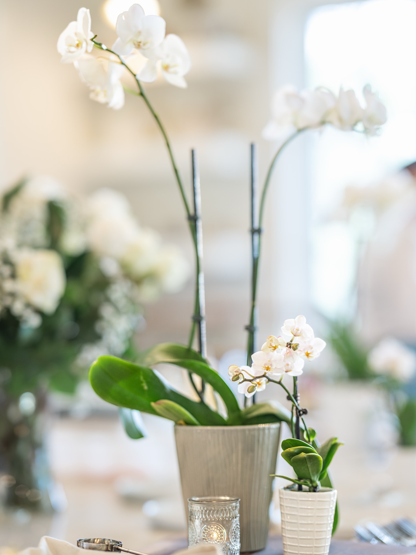 We design immersive brand worlds that are as polished as they are powerful. Through refined visuals and seamless digital experiences, we bring your story to life—across websites, social media campaigns, and high quality print our designs demand attention and inspire.