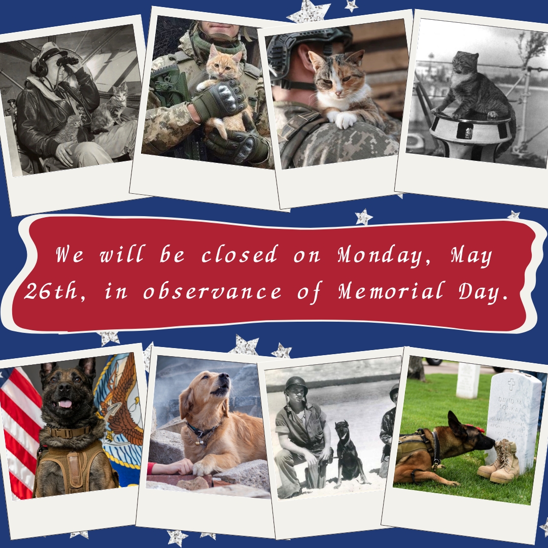 Stay safe! We'll see you on Tuesday!