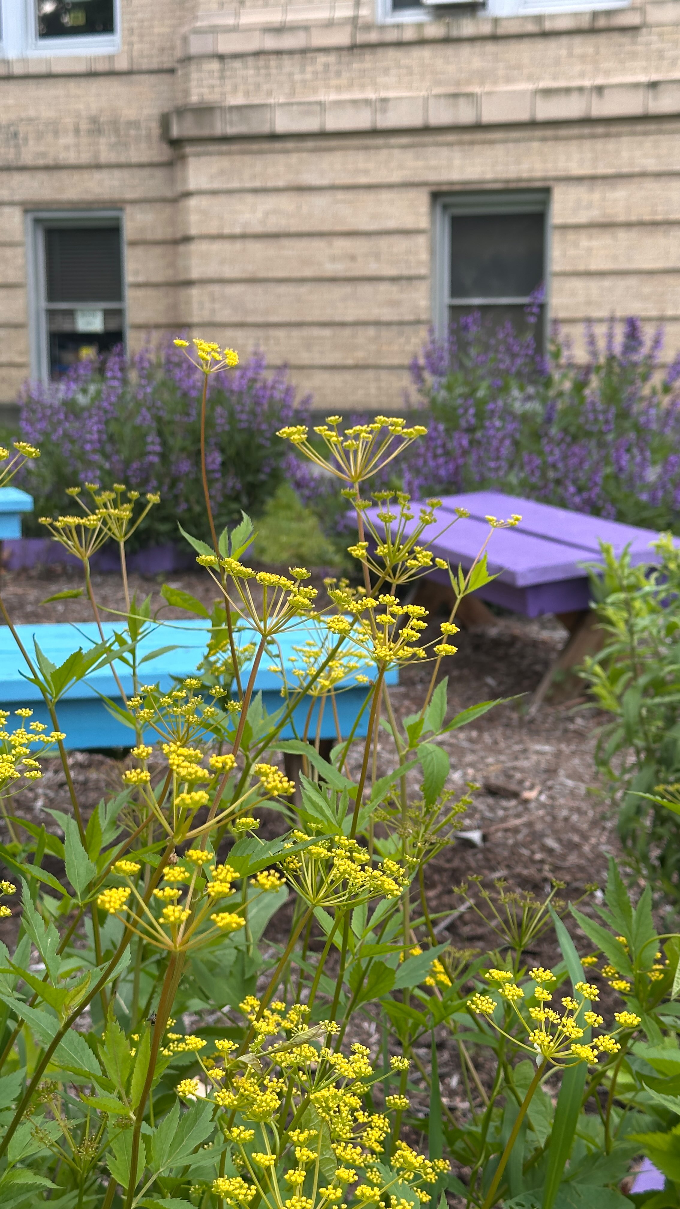 The garden pergola is up and we met some new worm friends along the way🪱 #garden #gardening