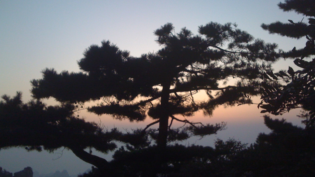 Ever wondered where acupuncture comes from? Discover the rich history and modern applications of this ancient practice. Link in Bio