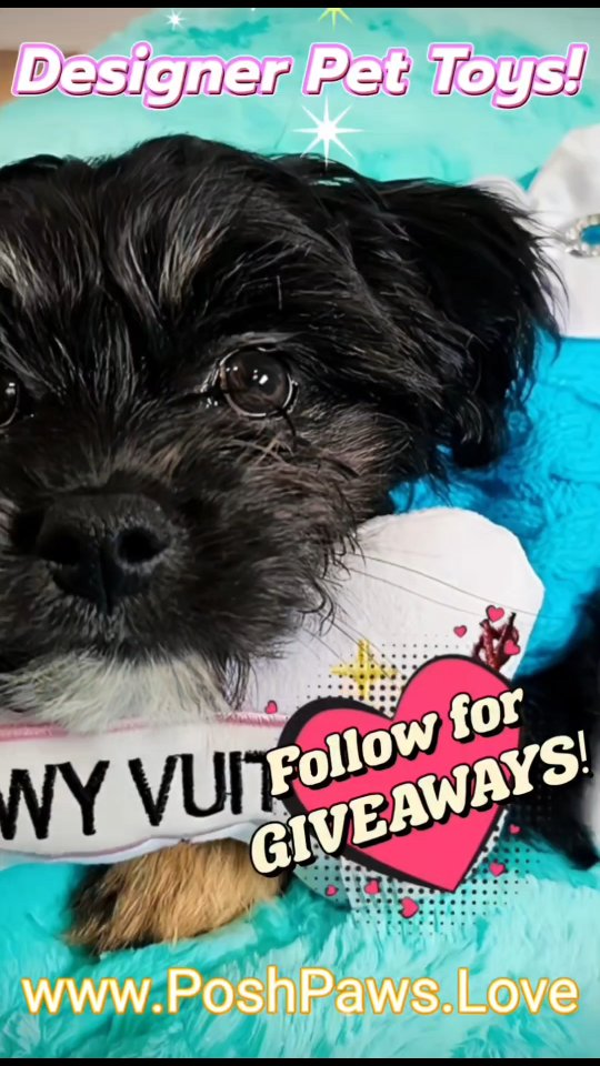 Unboxing Part II 📦✨️
⠀⠀⠀⠀⠀⠀⠀⠀⠀⠀⠀⠀ ⠀⠀⠀⠀⠀⠀⠀⠀⠀⠀⠀
Unbox the joy with us! 🎁🎉 We’re super excited to be the official retailer of Haute Diggity Dog Designer Pet Toys! 🐶💖 @Haute Diggity Dog
⠀⠀⠀⠀⠀⠀⠀⠀⠀⠀⠀⠀ ⠀⠀⠀⠀⠀⠀⠀⠀⠀⠀⠀
Follow @PoshPawsWithLove for pawsome GIVEAWAYS and Events that your fur baby will love! 🐾🎁🎉 Let’s get this party started! 🎊🥳🐕
⠀⠀⠀⠀⠀⠀⠀⠀⠀⠀⠀⠀ ⠀⠀⠀⠀⠀⠀⠀⠀⠀⠀⠀
Follow us for tons of fun and #GIVEAWAYS 🎁🥳🎊🎉
⠀⠀⠀⠀⠀⠀⠀⠀⠀⠀⠀⠀ ⠀⠀⠀⠀⠀⠀⠀⠀⠀⠀⠀⠀⠀⠀⠀⠀⠀⠀⠀⠀⠀ ⠀⠀⠀⠀⠀⠀⠀⠀⠀⠀⠀⠀⠀⠀⠀⠀⠀⠀⠀⠀⠀⠀⠀ ⠀⠀⠀⠀⠀⠀⠀⠀⠀⠀⠀⠀⠀⠀⠀⠀⠀⠀⠀⠀⠀⠀⠀ ⠀⠀⠀⠀⠀⠀⠀⠀⠀⠀⠀⠀⠀⠀⠀⠀⠀⠀⠀⠀⠀⠀⠀ ⠀⠀⠀⠀⠀⠀⠀⠀⠀⠀⠀⠀⠀⠀⠀⠀⠀⠀⠀⠀⠀⠀⠀ ⠀⠀⠀⠀⠀⠀⠀⠀⠀⠀⠀⠀⠀⠀⠀⠀⠀⠀⠀⠀⠀⠀⠀ ⠀⠀⠀⠀⠀⠀⠀⠀⠀⠀⠀⠀⠀⠀⠀⠀⠀⠀⠀⠀⠀⠀⠀ ⠀⠀⠀⠀⠀⠀⠀⠀⠀⠀⠀⠀⠀⠀⠀⠀⠀⠀⠀⠀⠀⠀⠀ ⠀⠀⠀⠀⠀⠀⠀⠀⠀⠀⠀⠀⠀
#HauteDiggityDog #PetToys #PawsomeFun #DesignerPetToys #ChewyVuitton #Fursace #Starbarks #dogs #cats #dogsandcats #cutepuppy #cutepuppyvideos #dogtoys #doggie #doggies #doggiesoftiktok #yorkiepoo #yorkiepoos #dogbone #dogbones #puppylove #unboxing #unboxingvideos #puppies #puppiesofig #freebies #dogtricks #giveaway #poshpets