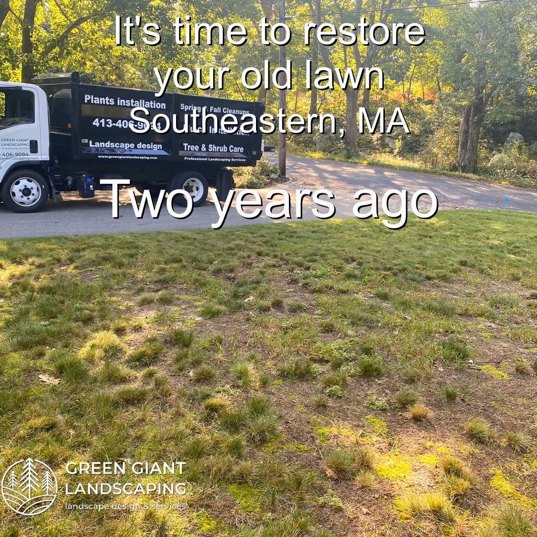 Lawn Care 2025. How to Restore an Old Lawn.
Landscaping Southeastern, MA.
Call now for your free quote!
Plants installation
Tree and shrub care
Seasonal cleanups
Bobcat services
Old overgrown shrubs removal
Mulch installation
Garden maintenance
Professional Landscape Design.
https://www.greengiantlandscaping.com/post/how-to-restore-an-old-lawn-a-two-year-lawn-transformation
Phone:
+1 413-406-9094
#landscaping #landscapedesign #gardening #gardendesign #landscaper #landscapearchitecture #treeandshrubtrimming #mulch #Massachusetts #southshore #newton #boston #hingham #marshfield #scituate #NewtonMA #scituatema #milton #canton #wellesleyma #SpringCleaning #shrubtrimming #shrubcare #plantingseason #plantingtrees #plantingdesign #gardentransformation #springcleanup #mulching