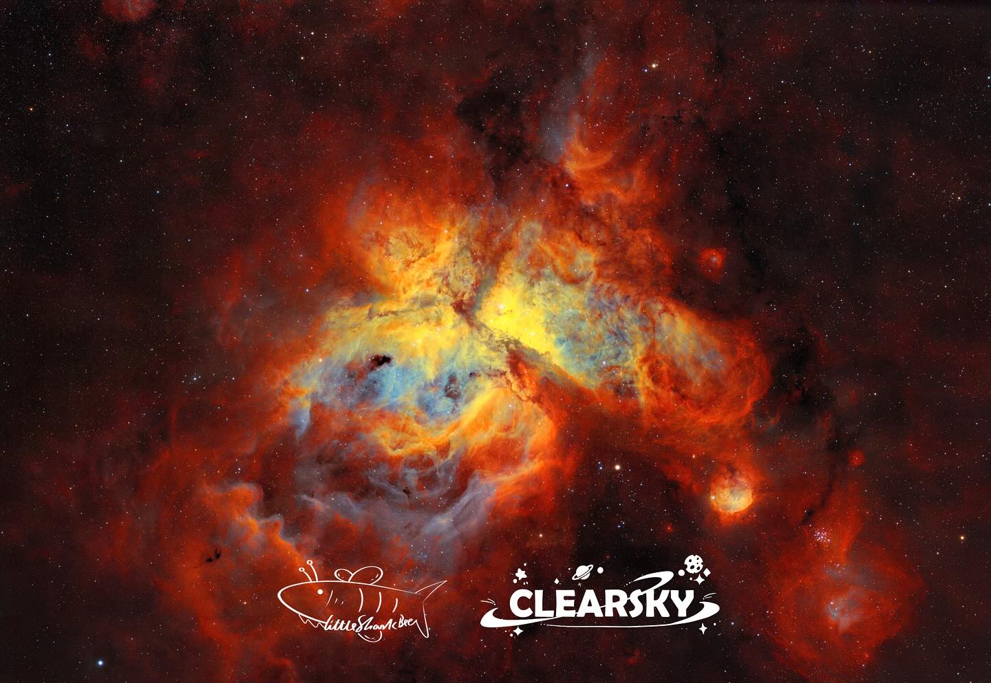 Shock from the southern hemisphere🌍
Clearsky X Sqa55
by sharkbee