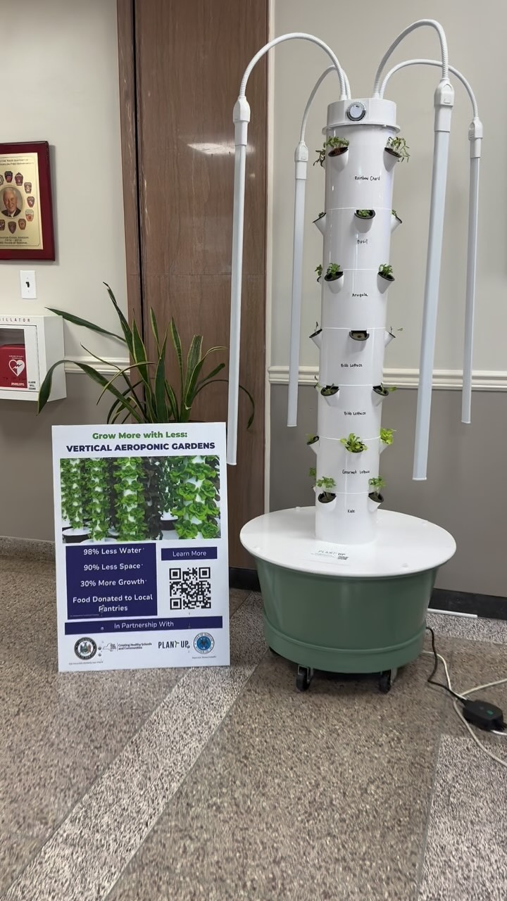 Stepping into the Town of Babylon Town Hall and spotting our vertical garden right in the main lobby! 🌱
✨ Check out the incredible growth in just under two weeks—fresh greens for everyone to enjoy!
We’re proud to partner with the @townofbabylon.ny @chsc_longisland for this incredible project!
🌱 Swing by Town Hall and see it for yourself!
#VerticalGardening #TownOfBabylon #GrowLocal #FreshAndGreen #PlantUp #growingwithplantup #plantswithapurpose #changethroughfood #verticalgrowing
