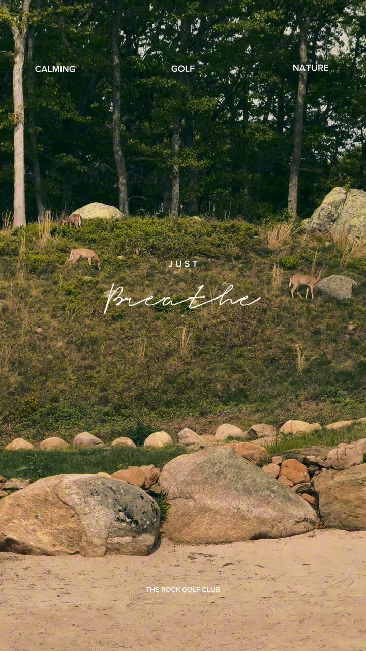 Nature meets the fairway at The Rock Golf Club.
From deer grazing along the rough to hawks soaring overhead, every round here comes with a front-row seat to Long Island’s natural beauty. The peaceful hum of the breeze, birdsong from the trees, and the occasional turtle crossing your path—it’s more than a game, it’s a tranquil escape.
Experience the wild side of golf. Only at The Rock.