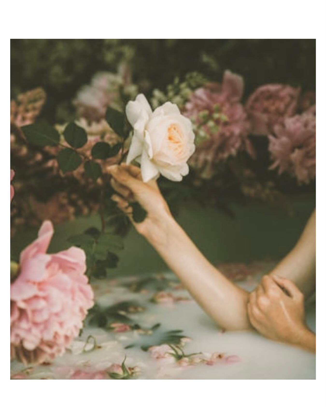 Berigelse…
Berigelse er evnen til at sætte pris på livet, som det kommer ind gennem de fem sanser. Den afbalancerer sjov med alvor og repræsenterer disciplinen i at vide, hvornår man skal beherske impulserne fra sine ønsker omkring ydre stimuli, eller hvornår man skal overgive sig til dem.
Berigelse handler om at leve livet fuldt ud, at omfavne kroppens sensualitet og opdage magien selv i det hverdagsagtige.
Berigelse er en dyb værdsættelse af-og taknemmelighed for det nuværende øjeblik; og gennem denne ærefrygt og undren bliver det nuværende øjeblik naturligt mere og mere levende.
Berigelse er evnen til at hengive sig til livets sensuelle glæder, ikke som en distraktion fra følelsesmæssig smerte, men som en mulighed for at blive mere og mere til stede i livet.
Ægte berigelse spiser ikke chokoladekage for at undgå smerten ved et brud, den spiser chokoladekage for at smage livets orgasmiske skønhed i hver eneste bid.
Berigelse er evnen til at sidde stille med sine ønsker, før man handler på dem, og til at fordøje følelser af smerte og sorg lige så dybt som glæde og lyksalighed. (Tekst: Gene Keys)
______________________________________
Berigelse er energien, der repræsenterer potentialet i 56 GenNøgle. Jeg har personligt denne nøgle i min ydre sol/livsværk - det tema jeg primært skal være i berøring med- og udfolde i mit liv…
Det lyder jo skønt, men faktisk svære at udleve end man lige tror. For først skal man arbejde sig igennem skyggen, Afhængighed der præger denne nøgle laveste frekvens. Dertil har man jo alle sine andre skygger at skulle forholde dig til. Så livet kan så let komme til at dreje sig om kamp for overlevelse - holdt stangen af, hvad man nu er afhængig af…🌀
Vil du vide om 56 GenNøgle er repræsenteret i dit Hologenetiske fødselsblueprint og/eller hvad din ydre sol handler om, så tilbyder jeg læsninger ~ link i bio
______________________________________
#56gennøgle
#hologenetisklæsning
#selvbevidsthed
#alignment
#essens
#frekvensarbejde
#autencitet
#vibration
#bevidsthedsarbejde
#selvudvikling
#kærlighed
#kenddigselv
#selvomsorg
#hjertesager
#opmuntring