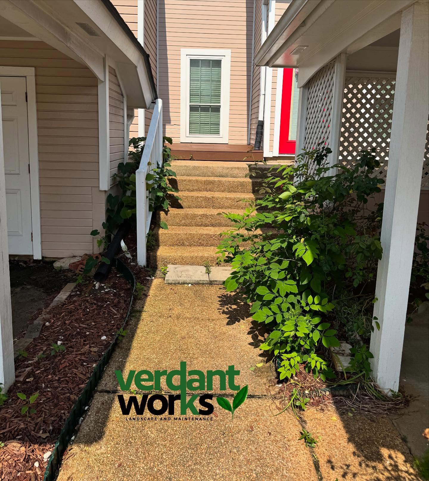 Before Vs After🌱🎯
Got rid of the dead bushes and weeds and renewed this yard with new hedges and some shade loving plants that will thrive in this area.
#landscapedesign #planting #mulching #edging #lawncare #verdantworks #boxwood #hostas #sunshineligustrum