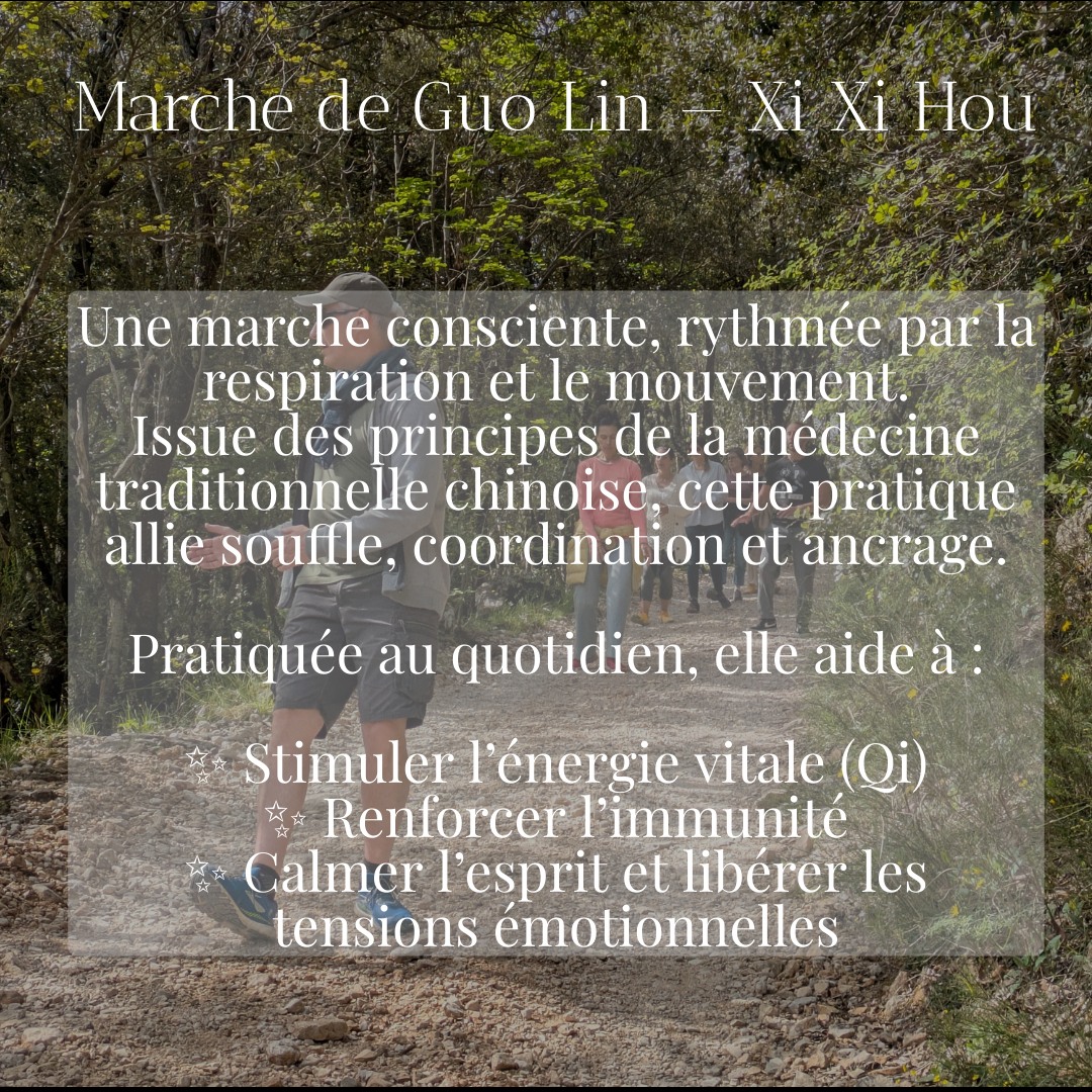 DÉCOUVERTE DE LA MARCHE GUO LIN (Xi Xi Hou)
Une pratique de marche douce et rythmée, alliant coordination du souffle, mouvements conscients et ancrage dans la nature.
🌬️ Favorise la circulation de l’énergie vitale (Qi)
🌀 Apaise le mental et libère les tensions
🌱 Renforce l’immunité et soutient les processus de guérison
✅ Accessible à tous
- Recommandée pour les personnes atteintes de cancer ou en convalescence
- Idéale pour les personnes âgées ou souhaitant bouger en douceur
https://www.aucreuxdessens.fr/post/xi-xi-hou-marche-de-guolin
#xixihou #marcheguolin #soutiencancer #marchetherapeutique #gigong #respiration #souffle #maintiendelasanté