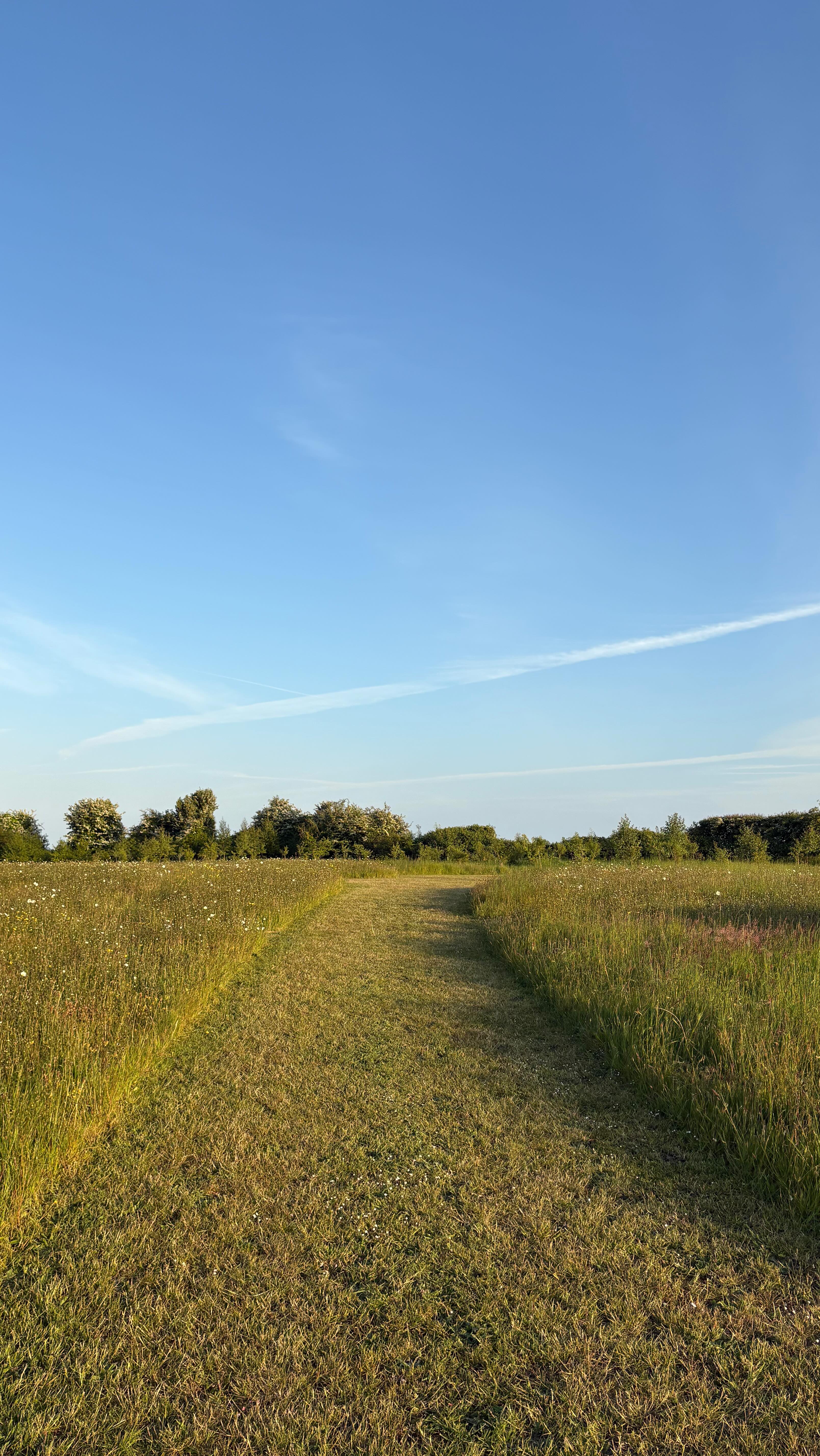 We’re officially opening tomorrow, and we couldn’t be more excited! 🌿
Here’s a little sneak peek of what makes our campsite so special:
✨ Long, wild grass separating each pitch for that peaceful, private feel
🐾 A tree-lined dog walk your four-legged friends will love
🚿 Hot showers, spotless loos, and our much-loved washing-up shack
We’re open all half term and can’t wait to welcome you to the best of the Norfolk coast. See you soon! ☀️ 🏕️