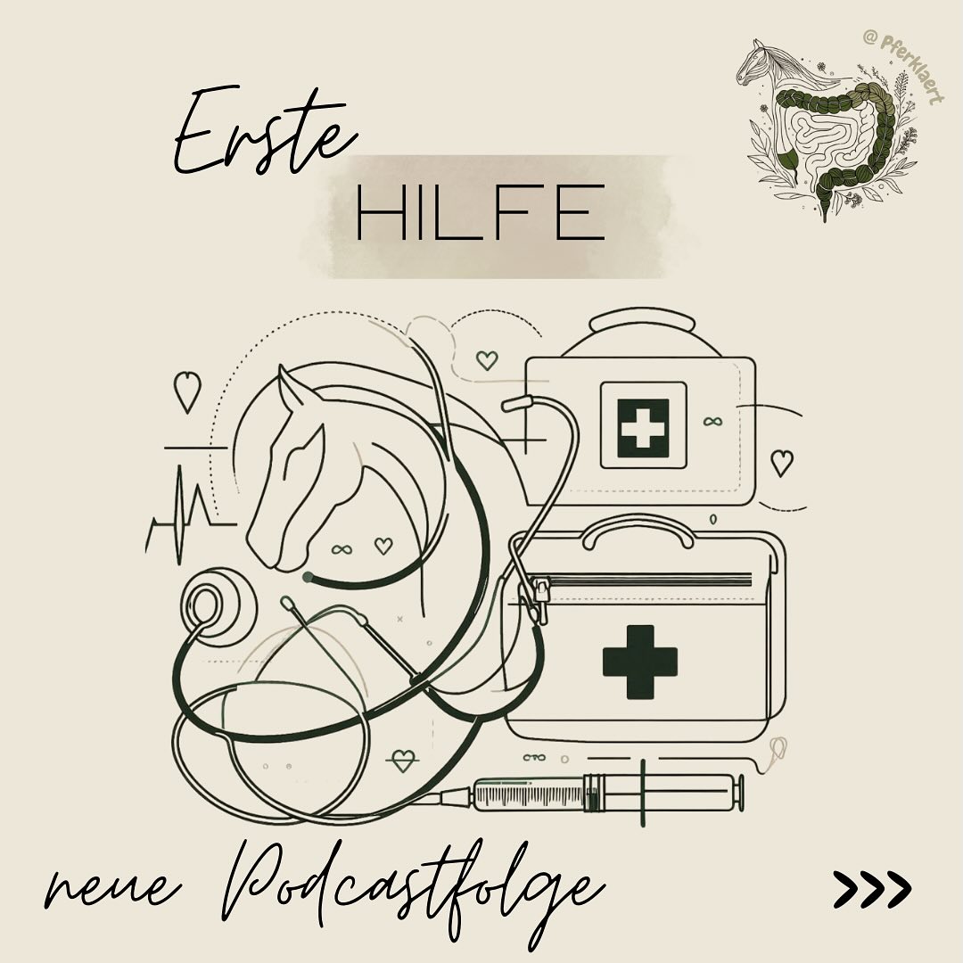 (Werbung) 🩺 Erste Hilfe beim Pferd – bist du vorbereitet? 🐴
Wenn’s drauf ankommt, zählt jede Sekunde – doch weißt du wirklich, was im Notfall zu tun ist?
Genau darüber sprechen wir in unserer neuen Podcastfolge mit Tierärztin @gaby_hurink, die nicht nur wertvolle Tipps teilt, sondern auch ein durchdachtes Erste-Hilfe-Paket für Pferde entwickelt hat.
🎧 In der Folge erfährst du:
✅ Wie du dein Pferd nach einer Wurmkur unterstützen kannst
✅ Was du in Akut-Situationen, wie bei Koliken und Schlundverstopfungen tun kannst
✅ Wie du den Tierarztbesuch mit deinem Pferd üben kannst, falls es Angst hat
✅Was in deinem Erste-Hilfe-Koffer auf keinen Fall fehlen darf
✅ Wie du Verletzungen erkennst, beurteilst und versorgst
✅ Woran du einen guten Tierarzt erkennst und wo seine Grenzen liegen
🔗 Das passende Erste-Hilfe-Paket zur Folge findest du bei @hawannie_pferdegesundheit
Einfach, kompakt und durch eine Tierärztin mit viel Pferdepraxis konzipiert – praktisch für Stall, Anhänger oder Turnier.
💬 Was befindet sich alles in deiner Stallapotheke? Schreib’s in die Kommentare! 👇
Hast du noch Fragen? Dann schreib uns gerne 💬🏥
🎙️ Jetzt reinhören – Link in der Bio!
Und speicher dir diesen Beitrag, um im Ernstfall vorbereitet zu sein! 🙌
(Unbezahlte Werbung)
#pferklaert #pferd #pferdetherapie
#ernährungsberatung #futterberatung #pferdefutter #pferdegesundheit #fütterung #pferdewissen #pferdehaltung #reitsport #equestrian #wissenswert #pferdetipps #propferd #pferdetraining