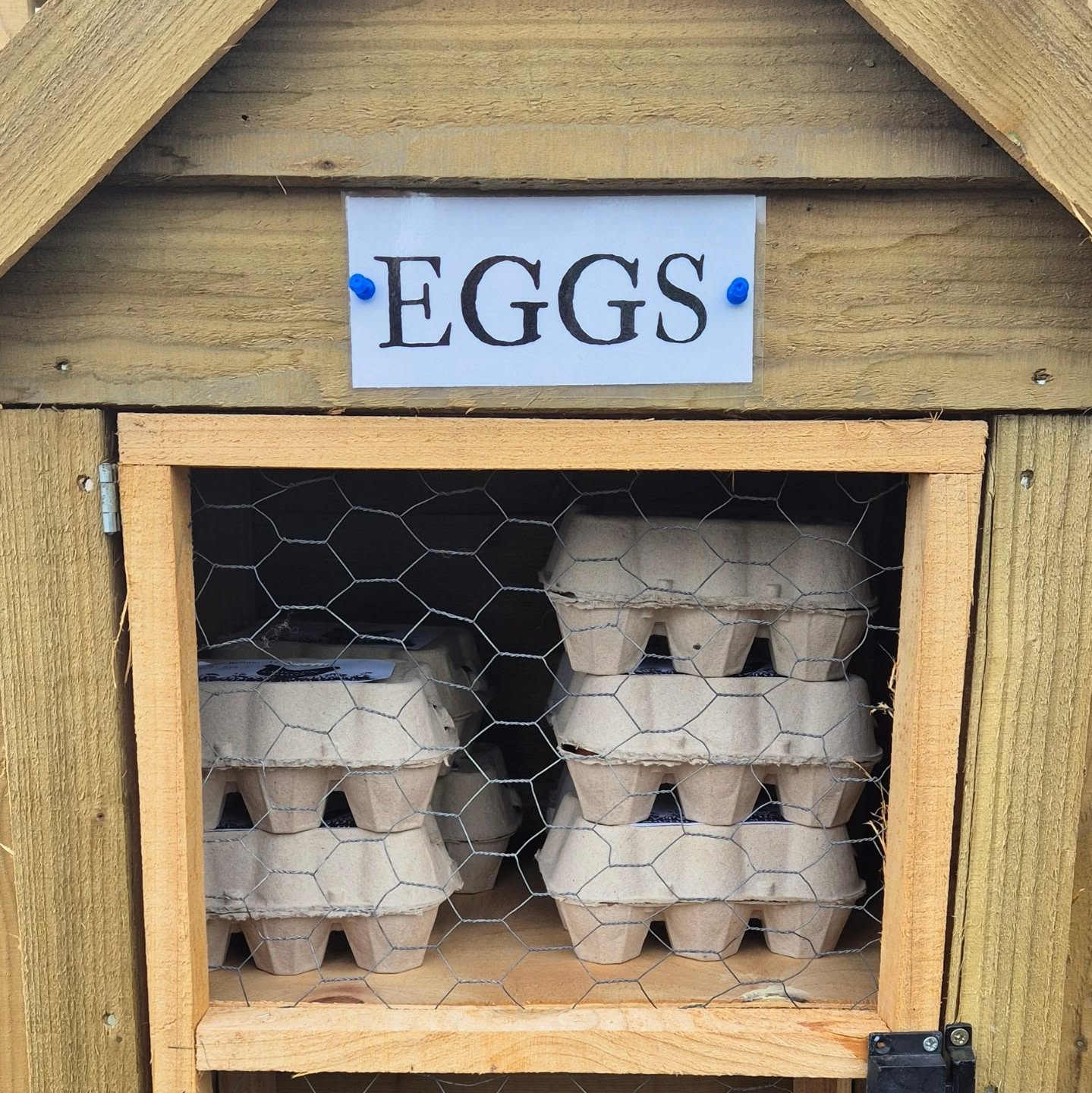 The drought is over! And I don't just mean the rain! ☔🌦️
The new girls have been hard at work to put eggs back on the table! Lots of eggs on the stand today! 🥚🍳
#eggsforsale
#DogFieldEwen
#BestinFieldEwen
#chickens
#buylocal