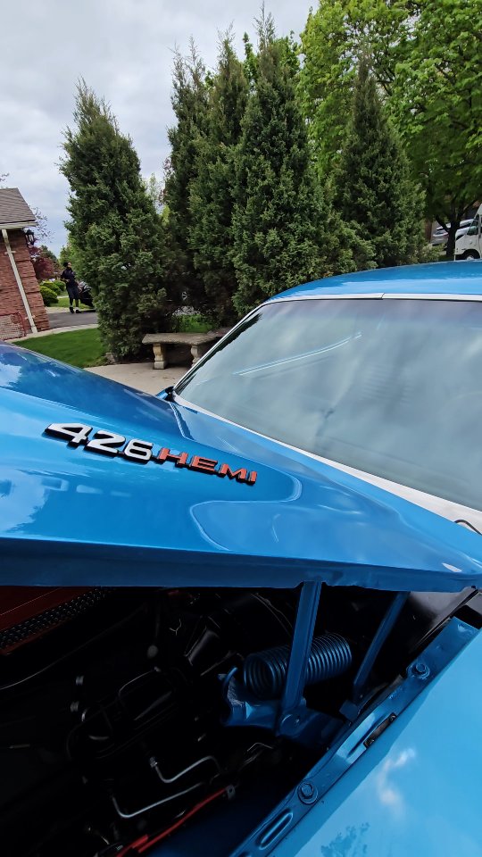 There's an elephant in the room 🐘
Big block 426 HEMI challenger @top_shelf_cars
#mopar #hemi #426 #426hemi #426challenger #moparornocar #preservation #moparfamily #hemichallenger #fergus #orangeville
#elora #wellingtonnorth #guelph #toronto
@mopar_musclecars