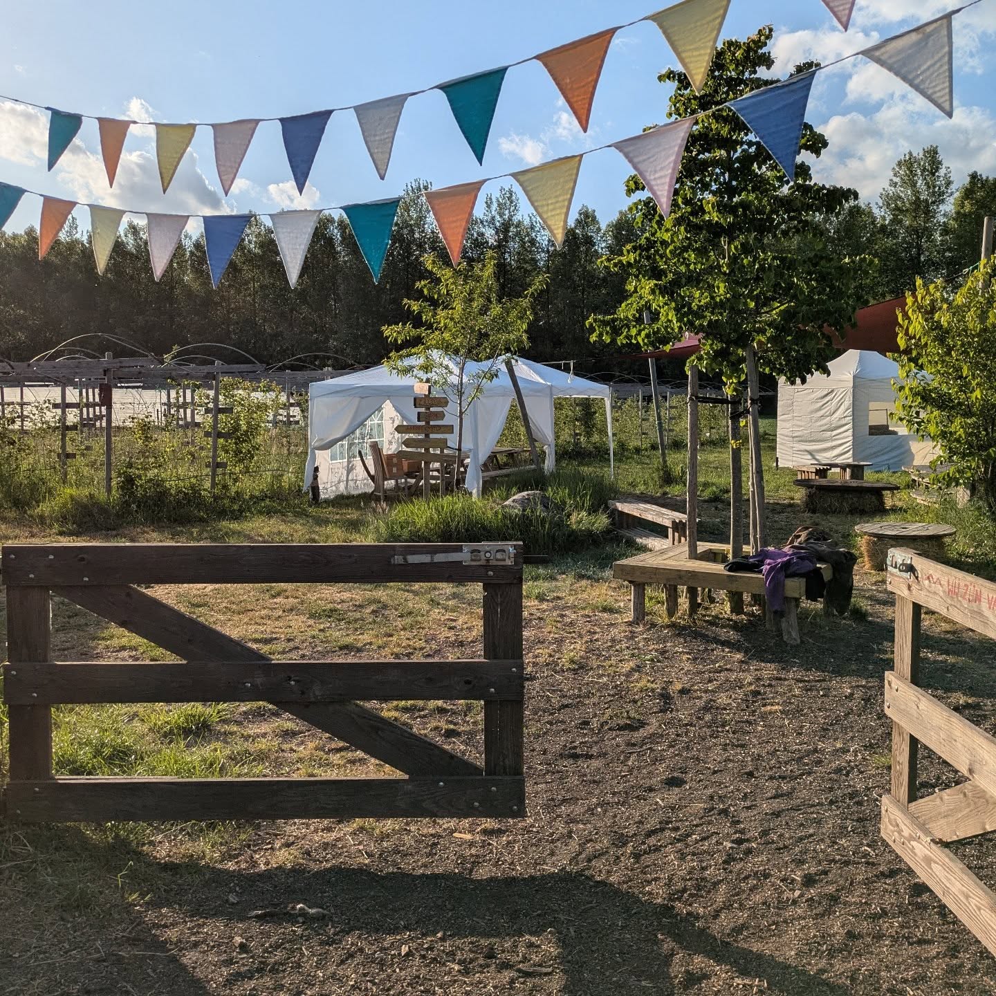 WELKOM!!
AARDBEI FEEST 🍓🍓🍓 zaterdag & zondag telkens van 10u tot 18u!
Uitnodiging: Het mooiste aardbeienfeest van de streek! 🍓
Uur: telkens van 10u tot 18u
waar: Bio boerderij de daalkouter
Op zaterdag én zondag vieren we met veel liefde onze geliefde aardbei ❤️
Trek je laarzen aan en kom de zoetste aardbeien van Herzele plukken 🤩🍓
✨ Doorlopend open:
• Een gezellige veldbar met lokale lekkernijen 🧀
• Verse aardbeientaart ( van Elien van Weideweelde), huisgemaakte limonade en verfrissende fruitijsjes.
🎨 Zowel op zaterdag als zondag komt Fien kindersnoetjes schminken — laat je fantasie de vrije loop! (14u–16u) 🧚♀️🦄
🎭 Zaterdagmiddag wordt extra feestelijk met kinderanimatie vol aardblijmakerijtjes en vertellerijtjes, gebracht door Jits Van Belle van Theater Boutique 📖🌟
🌿 Spring eens binnen en beleef onze boerderij!
Tot dan,
Helmi, Betse & Hannes