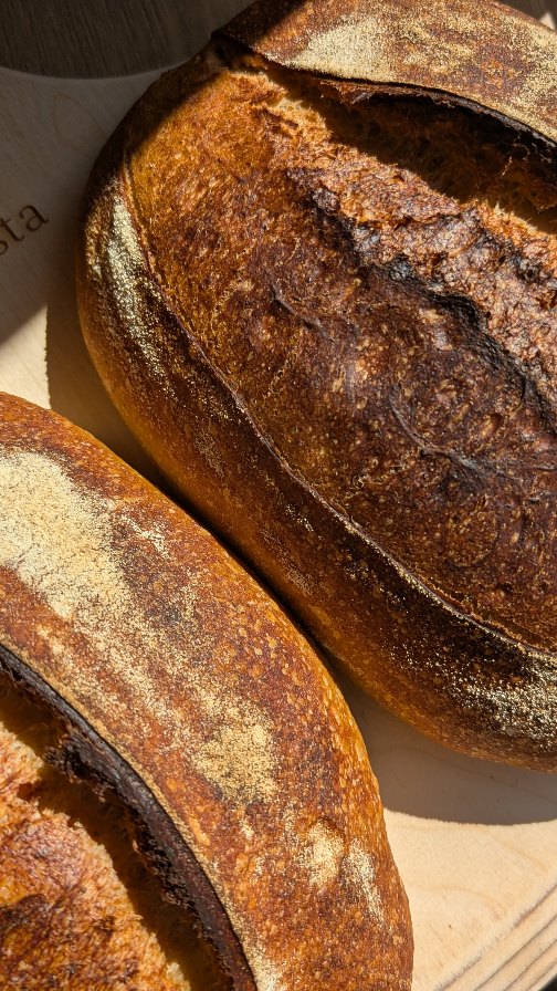 Ar ir tu valgai akimis? ✨
Kai Rūgsta kepyklėlėje kepėme duoną jums, labai svarbu buvo išvaizda: traški plutelė, graži auselė, aukštas ir dailus kepaliukas. Bet kai kepimas grįžo į namus – tik sau ir savo šeimai – atėjo aiškus suvokimas: per dažnai valgome akimis.
Graži duona ne visada reiškia, kad ji gera. Kad ji skani. Kad teikia naudą ir yra maistinga.
Per trumpa fermentacija, per standi tešla – visa tai tam, kad „atrodytų“, bet ne tam, kad atsiskleistų geriausias ir pilnas skonio profilis 🙃
Jei kepi namie – leisk sau improvizuoti:
🌾 ilgink fermentaciją;
🌾 nebijok drėgnesnės tešlos;
🌾 paleisk tą norą, kad kiekvienas kepaliukas būtų „Instagraminis“.
Ir dar viena labai svarbi dalis – miltai. Mes visada ieškome alternatyvų, kurios pagamintos arba užaugintos čia pat, Lietuvoje. Vienas mėgstamiausių pasirinkimų – @zelbukis miltai. Jie gyvi, kokybiški, patikimi. Su jais kepti – ne tik skanu, bet ir prasminga 🌱
Kai atsisakai tobulybės išorėje – atsiveria tikrumas viduje. Ir duona vėl tampa duona 💛
O kaip tu?
Ar esi kepęs duoną, kuri atrodė tobula – traški, su gražia ausele – bet viduje kažko trūko?
Parašyk komentaruose:
Ar tau yra tekę rinktis gražią duoną, kuri vėliau nuvylė skoniu? 🤔🍞
#Sourdough #SourdoughBread #HomemadeBread #BreadBaking #ArtisanBread #Fermentation #HealthyBread #BreadLover #BakingLove #RealBread #BreadLife #BreadMaking #SlowFerment