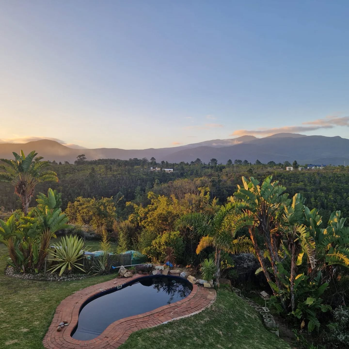 Wakker worden met dit uitzicht? Yes please!
Onze klanten legden dit magische moment vast bij zonsondergang bij Colourful BnB in The Crags – waar de natuur je omarmt en de stilte spreekt.
Tropische vibes, een verkoelend zwembad, én dat uitzicht op de Tsitsikamma Mountains... Dit is niet zomaar een verblijf, dit is een ervaring.
Tag je reismaatje en plan jullie escape naar paradise!
#ColourfulBnB #TheCrags #GardenRouteMagic #NatureLovers #SouthAfricaTravel #SlowLiving
#zegookja
#Tuinroute #zuidafrika
