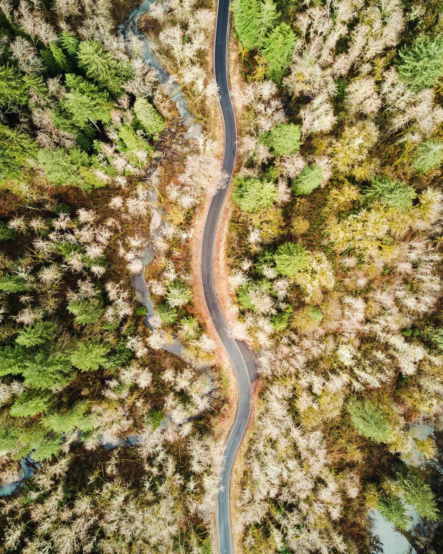 in between 👸🏼 in der Blüte unseres Seins 🌸
Zwischen Mitte 30 und Mitte 40. Nicht mehr frisch aus der Pubertät, aber auch noch nicht in den Wechseljahren. Lebenserfahrungen wurden gemacht, Trennungen durchlebt, Grenzen gesetzt, Entscheidungen hinterfragt, Kinderwunsch steht vielleicht noch im Raum. Der Körper verändert sich langsam und auch die Hormone. PMS, Gewichtszunahme, Schlafstörungen oder auch Stimmungsschwankungen spüren wir in unserem Alltag deutlicher 🤔
Viele dieser Symptome werden auf einen stressigen Job, den Spagat zwischen Familie und Beruf oder Beziehungsprobleme geschoben. Doch dies allein ist nicht der Grund: Der Frauenkörper ist im Wandel ✨
Jetzt ist die perfekte Zeit, um in den Körper zu investieren! Ernährung, Bewegung, Entspannung und mentale Gesundheit in den Fokus zu stellen. Dafür genügt nicht nur ein Wellnesswochenende oder eine teure Gesichtscreme. Sondern ein tägliches Investment in uns und für uns 💕
Sich auch mal mit unsexy Themen wie Hormonhaushalt, Knochengesundheit und Beckenboden zu beschäftigen 😅
Denn die Zeit in between macht auch Spass! Wachsende Erfahrung, selbstbewusster für Wünsche und Bedürfnisse einstehen und Mut, das Leben frei zu gestalten 😍
Erkennst du dich in dieser Phase? Fühlst du dich in between und weisst nicht, wie weiter? Was du nun brauchst und wo du investieren sollst? 😳
Meld dich gerne bei mir - gemeinsam meistern wir diese Zeit, holen das Beste raus und feiern sie! 🥳
#ernährung #ernährungsberatung #ernährungsberatungzürich #psychologie #essen #hormone #inbetween #frauengesundheit #kraft #wohlfühlen #gewicht #balance #gesundeernährung #ganzheitlich