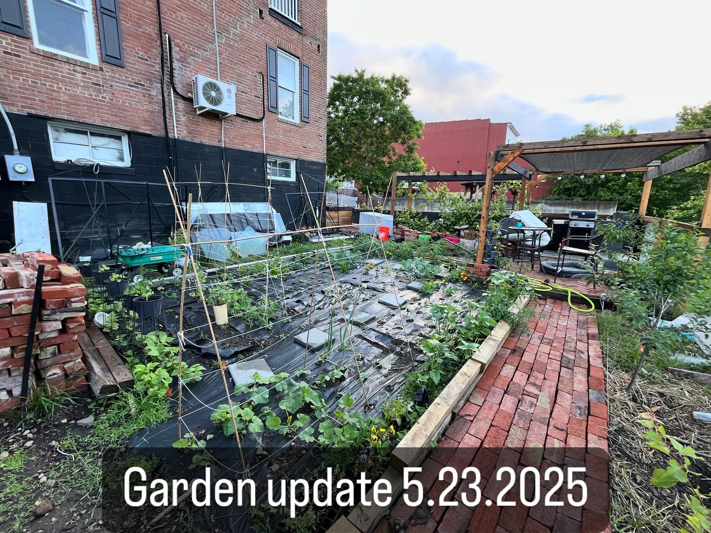 #updates #garden #gardening #garden #vegetables #pumpkin #squashblossom #canning #squash #zucchini #tomatoes #peppers #sunflowers #trellis #peas #beans