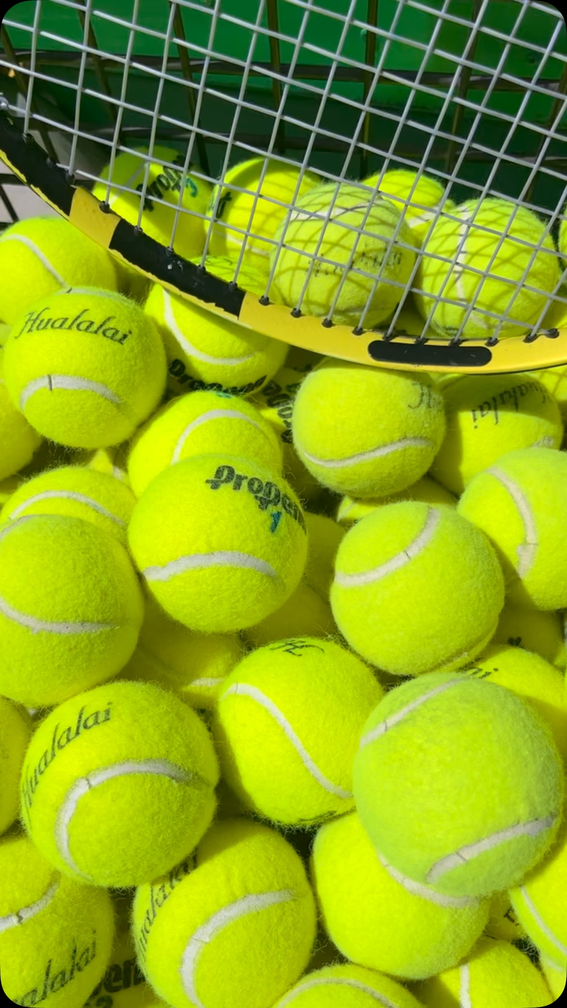 Endless activities at Hualalai Resort including amazing tennis courts just a quick golf cart ride away from your luxury Kema Kama vacation rental home. DM for rates and availability on homes.