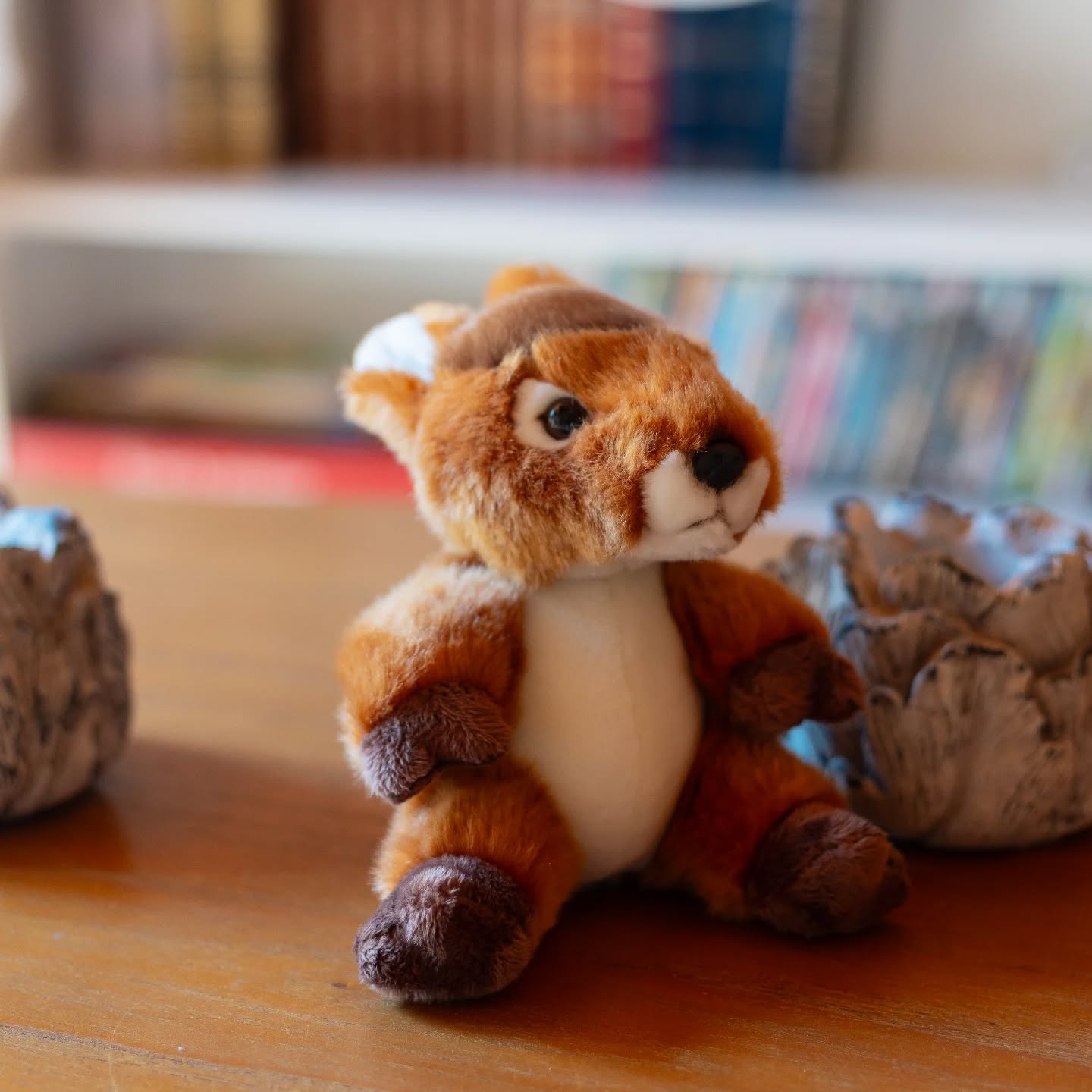 Peluche Faon Têteabizous ANIMA 17cm
N'hésitez pas à la commander via notre site internet dans la bio !
#cadeau #shop #siteinternet #collection #peluche #doudou #cadeauenfant #cadeaubebe #doux #mignon #faon #biche #bambi #peluchefaon #polyester #madeinfrance #france #alsace #strasbourg #decoration #comptoirdesauthentics