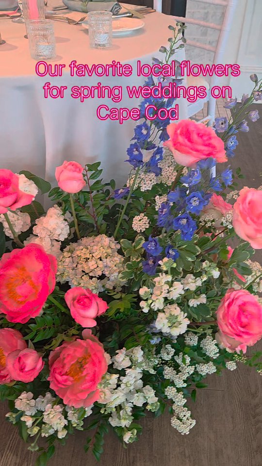 Looking to add some local ✨️color✨️ to your May 2026 wedding on Cape Cod? We would love to chat! Use the link in our bio to inquire 💕
.
.
.
.
.
#capecodflorist #capecodwedding #capecodlife #wychmerewedding #wiannowedding #wequassettwedding #chathambarsinnwedding #dennisinnwedding #pelhamhouseresort #weddingtips #weddinginspiration #weddingflowers #floweraddict #floraldesign