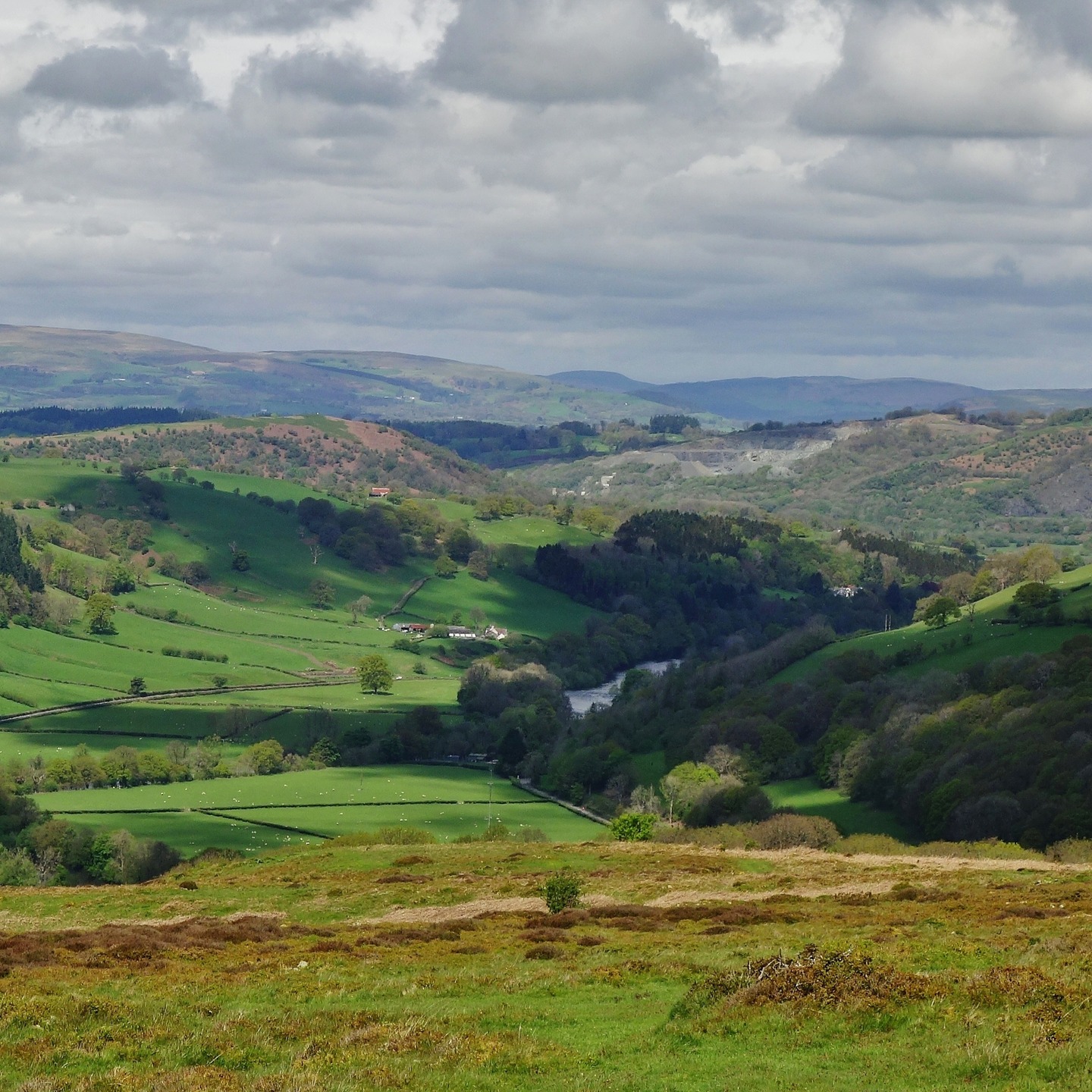 A glimpse of the Wye from Aberedw Rocks. I love it up here, 200 metres above the river. It's at the end of a very long whale back ridge, some 8 Km long. Starting from Red Hill in the east, it runs over the top of Rhulen and Llandeilo hills before reaching the rocks and the Wye Valley. The views of the region are fantastic, and if heading west from Red Hill, you're rewarded with this view. Fantastic! #aberedwrocks #wyevalley #wye #riverwye #midwales #walescollective #natureconnect #naturetones #walkingwales #waleswalking #riverview