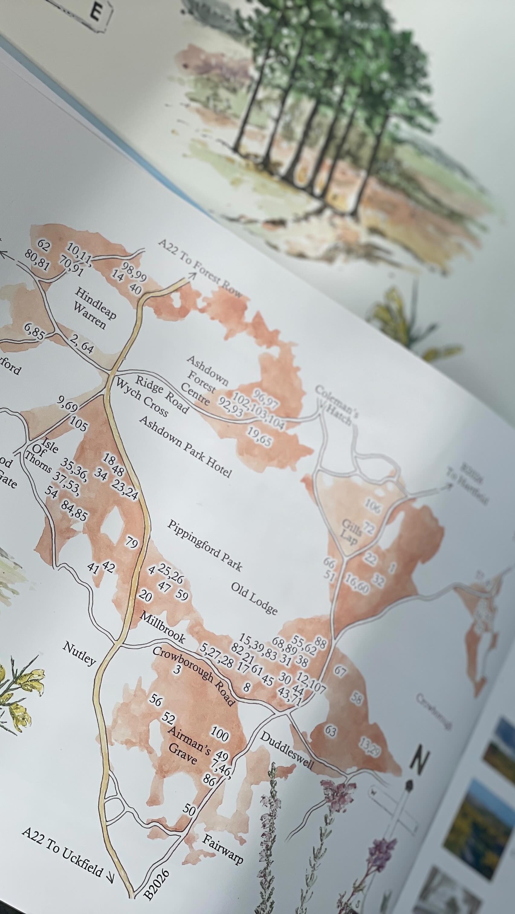 Flash back to working on the map and watercolour illustrations for this wonderful book with @craigpaynephoto
.
.
#countryliving #countrylife #countryart #inspiredbynature #countrydecor #countryhomesandinteriors #countrygarden #art #illustration #wildlifeart #animalart #prints #cards #greetingscards #gifts #countryside #farmlife #houseinthecountry #dogs #horse #illustrator #artist #bookillustrations #countryhome #painting #watercolours