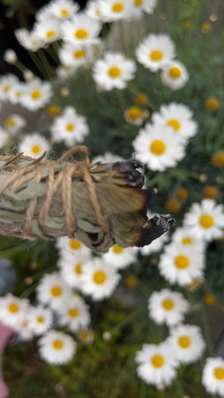 Räucherbündel by @irenemariaschaeppi beim letzten Influencer-Event by @rausch_official !
#beauty #pr #shampoo #rauschkreuzlingen