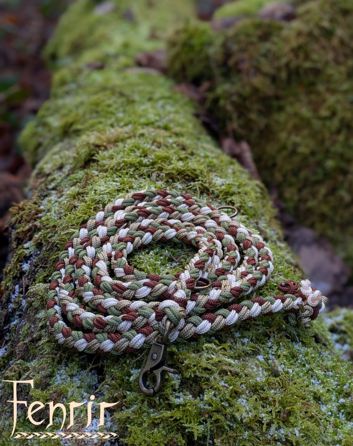 Waldgeflüster🌿💚
#hundeliebe #kleinehunde #hundeleine #paracord #grün #braun #handmadewithlove #smallbusiness #fenrirhandmade